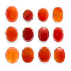 Collezione di intagli in corniola raffiguranti ritratti classici