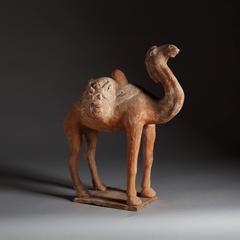 Rare Tang Dynasty Terracotta Camel