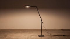 1950s iron and aluminum Floor Lamp by Fridtjof Schliephacke