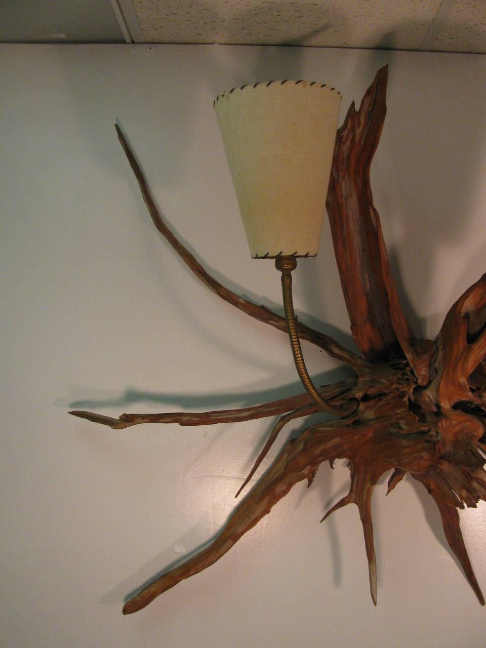Cedar  Pair of Mid-Century Modern Sun Bleached Sculptural Root Wall Sconces For Sale