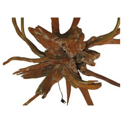 Pair of Mid-Century Modern Sun Bleached Sculptural Natural Root Wall Sconces