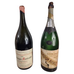 Vintage Mid-Century Store Display Bottles Champagne, France, C1955