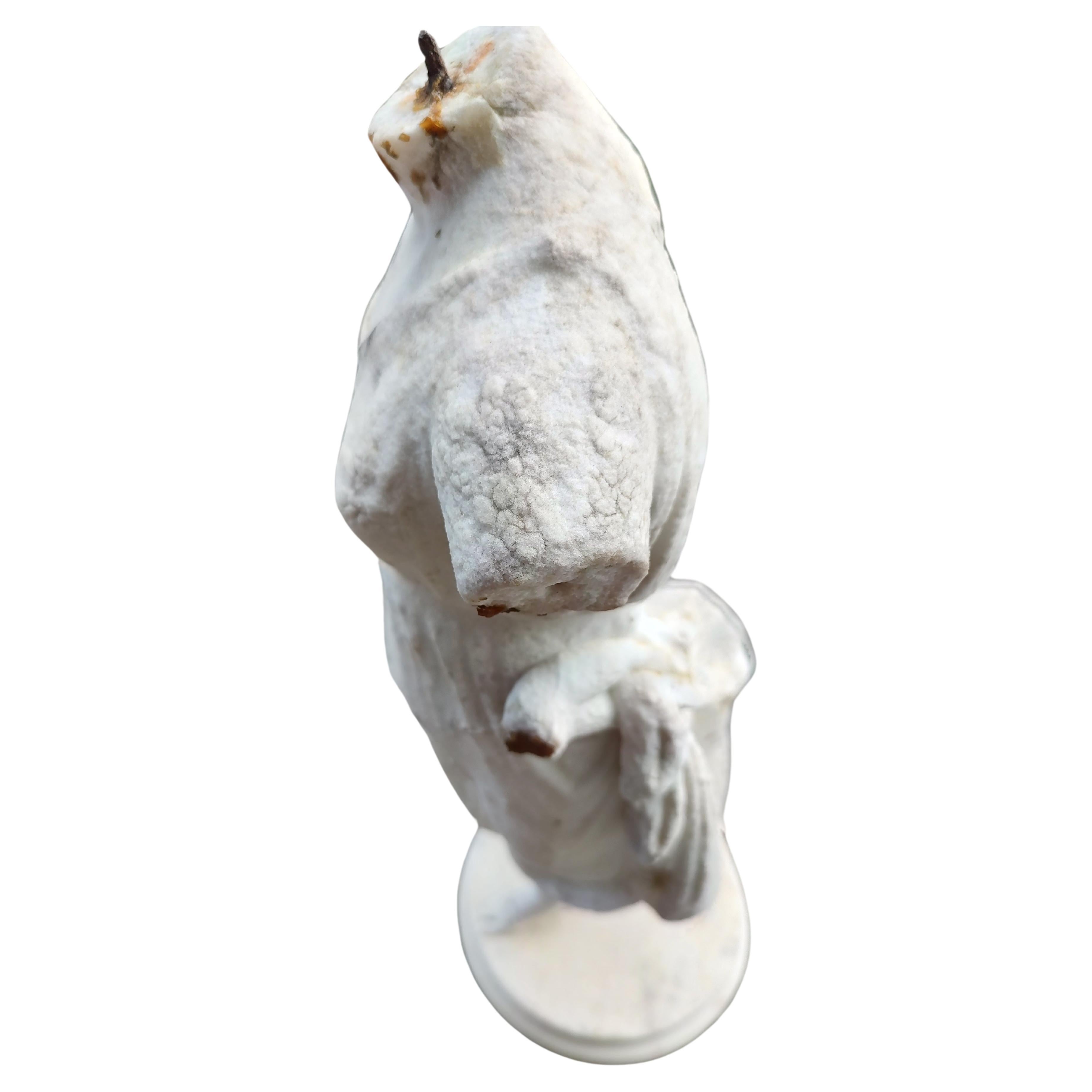 19th Century Hand Chilseled Marble Torso of a Victorian Maiden For Sale 1