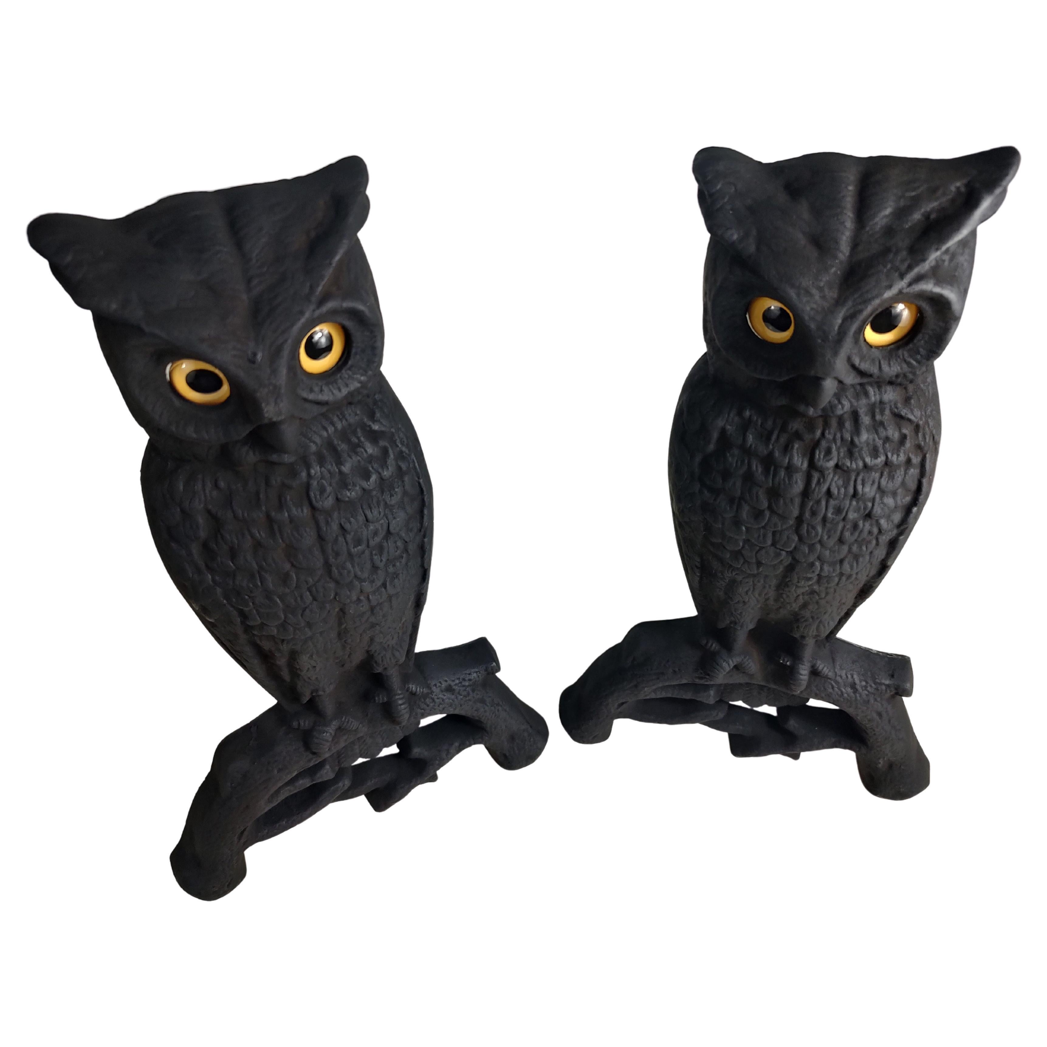 Arts & Crafts Cast Iron Owl Andirons with Glass Eyes For Sale