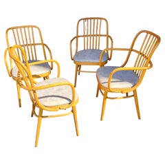 Classic Josef Hoffman Ligga Armchairs Bent Maple Europe C1960