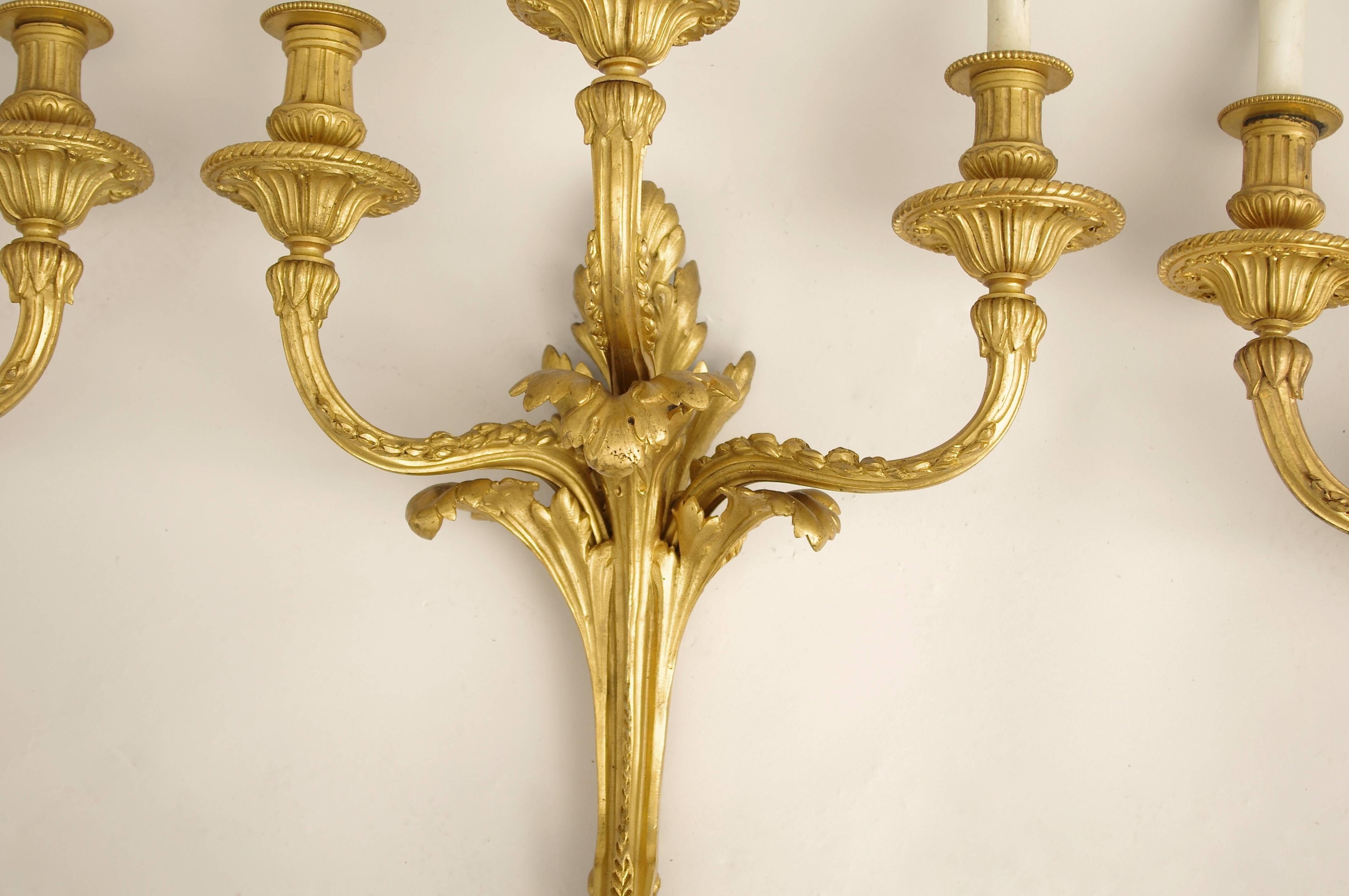 Late 19th Century Set of Louis XVI Style Gilt Bronze Sconces