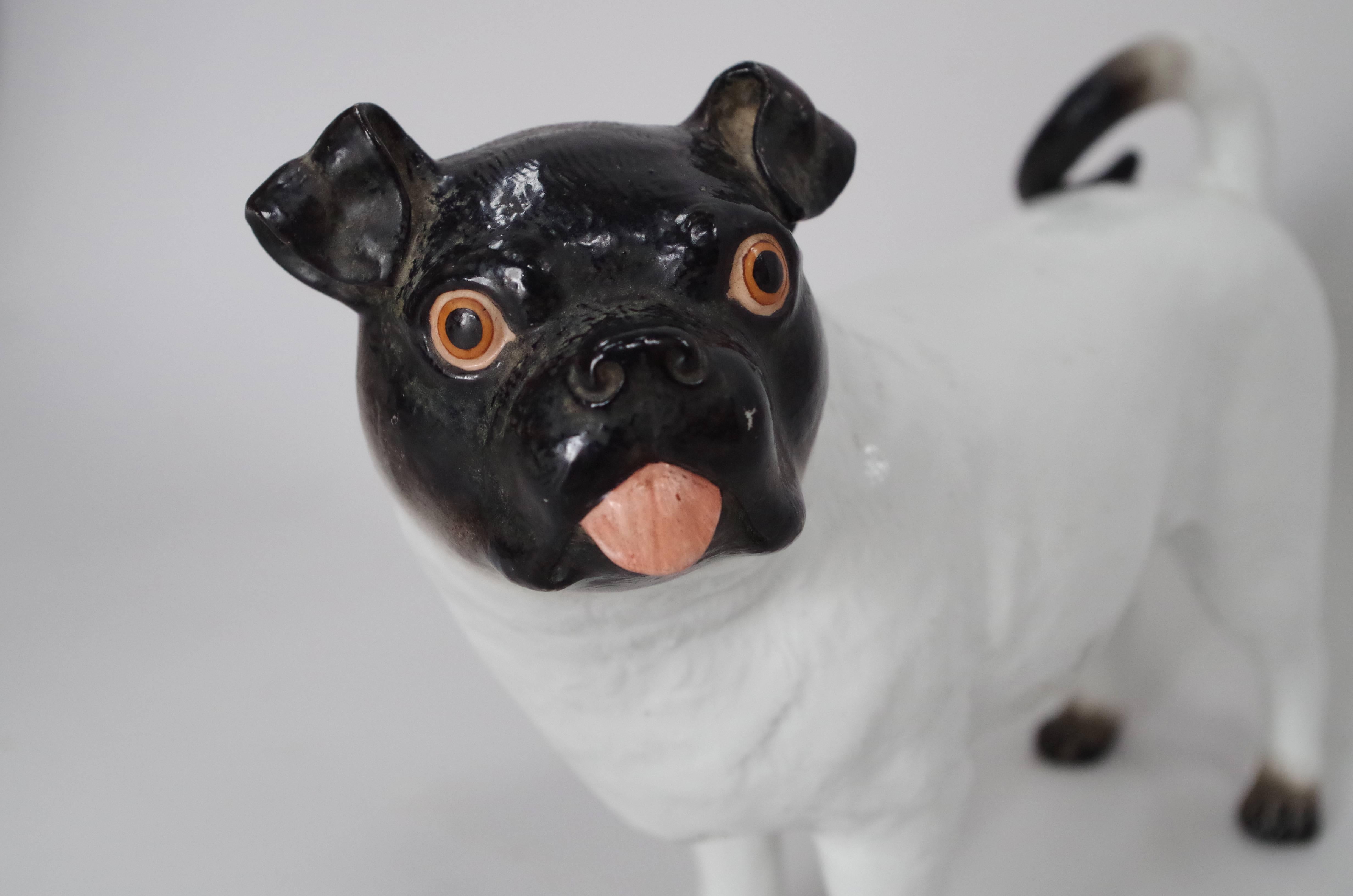 Ceramic
French bulldog
Signed
Work, circa 1950.
 