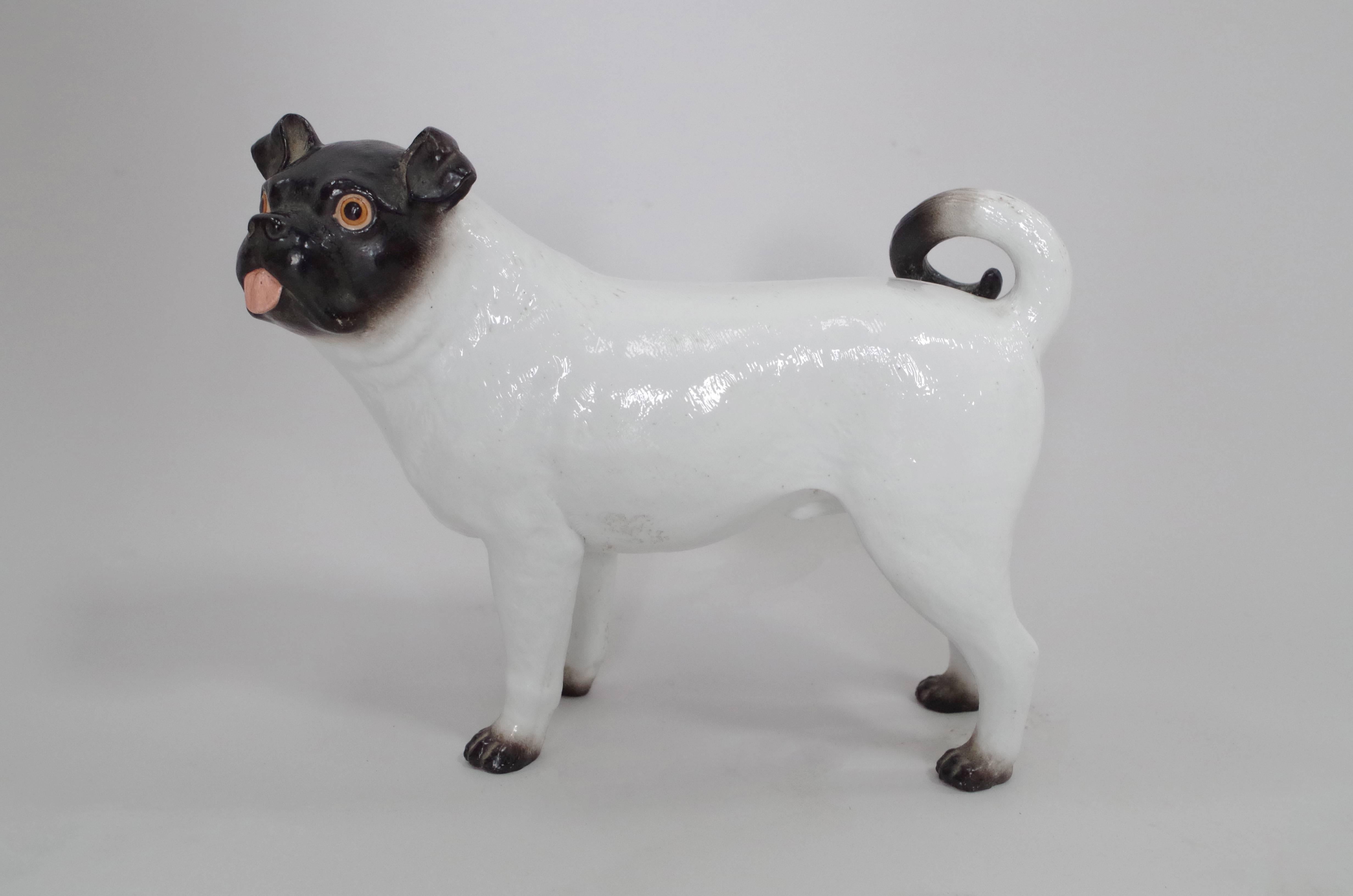 Modern French Bulldog Animal Sculpture, Ceramic, 1950