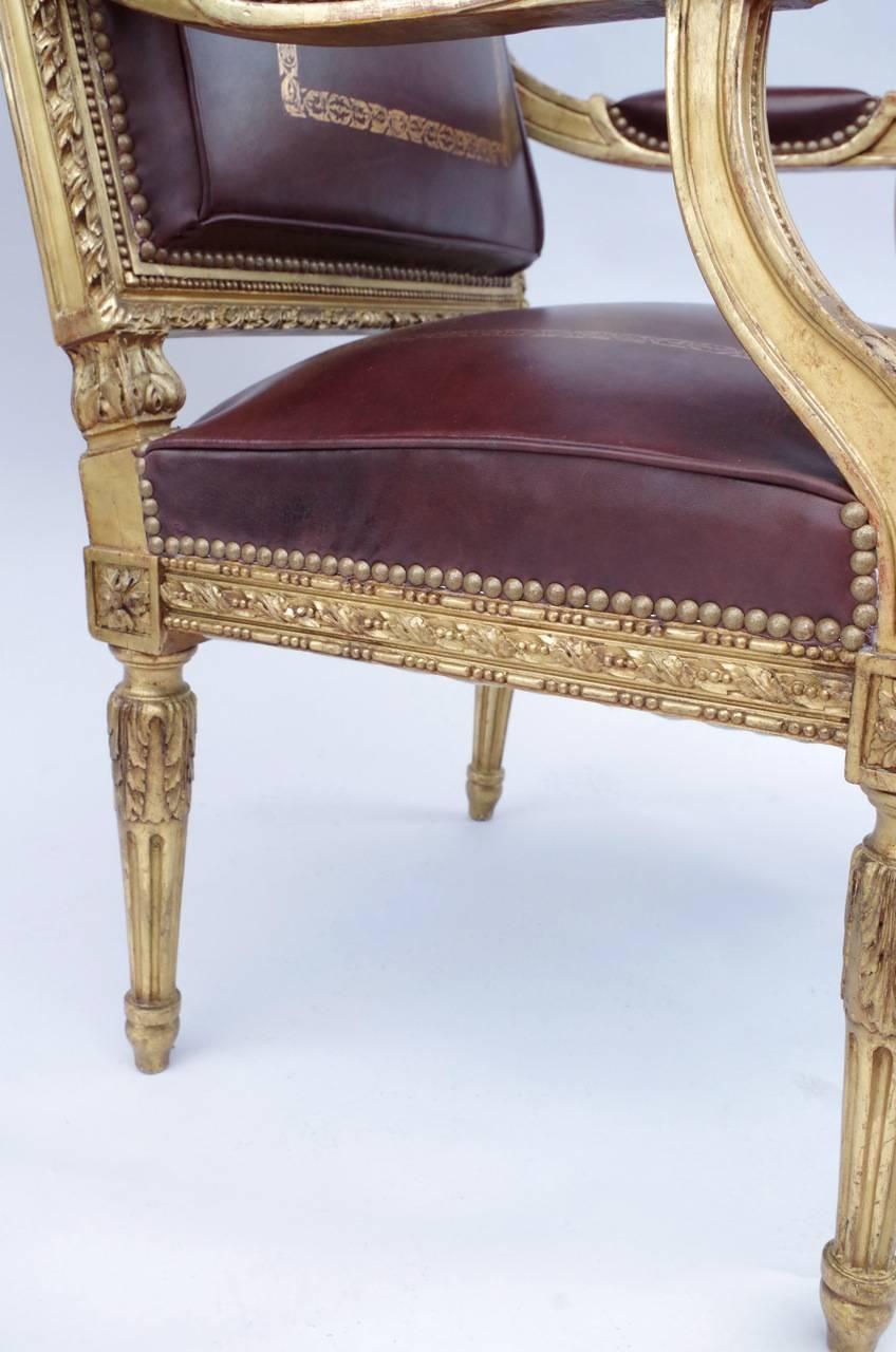 Louis XVI Style Giltwood Fauteuil À La Reine with Brown Leather, 19th Century 3