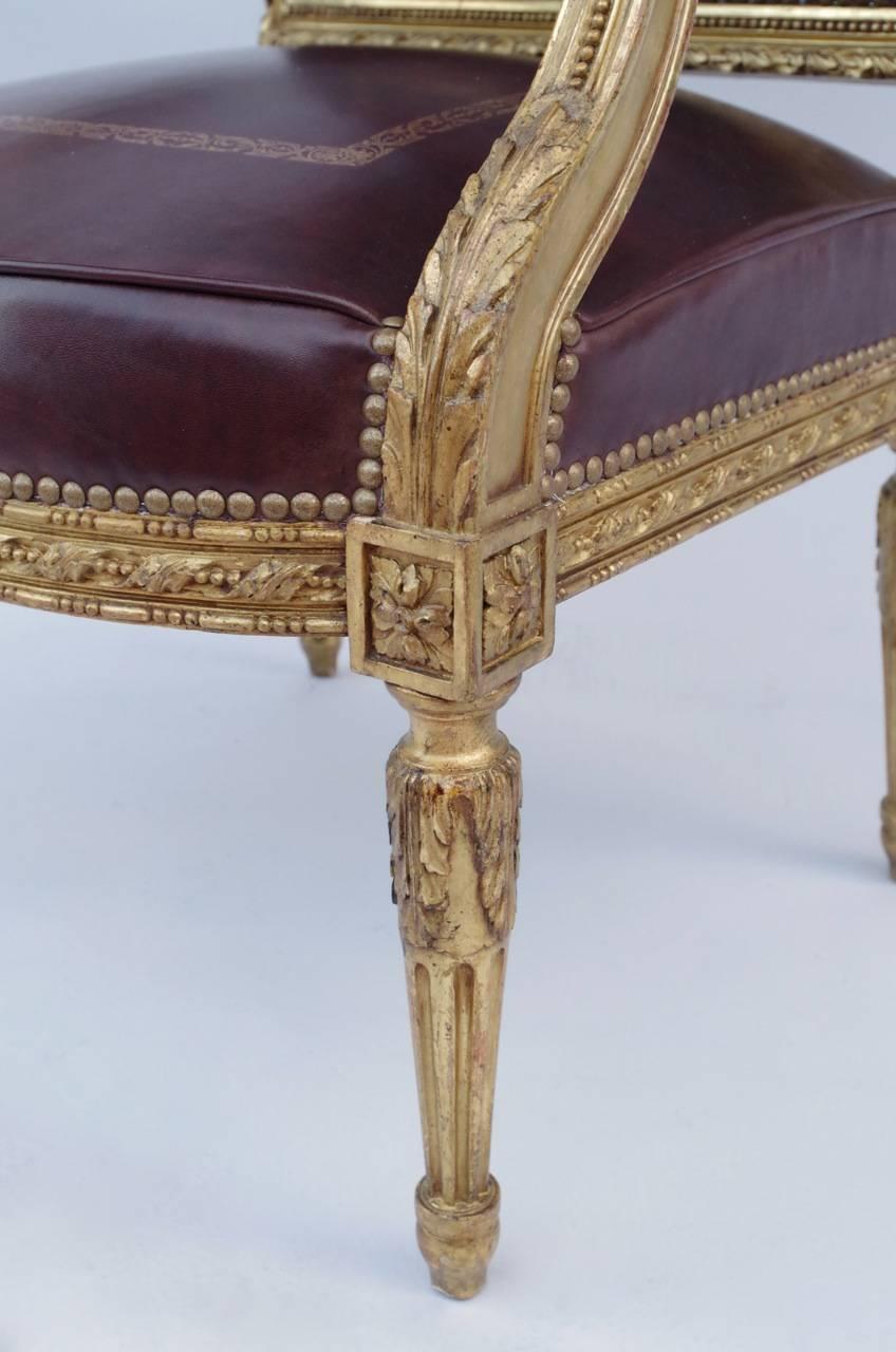 Molded Louis XVI Style Giltwood Fauteuil À La Reine with Brown Leather, 19th Century
