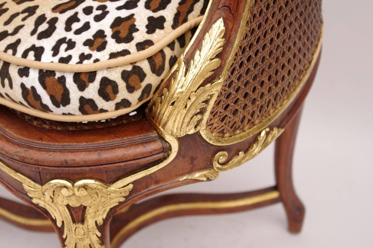 Pair of Louis XV Style Caned Armchairs, circa 1900, with Cheetah Print 1