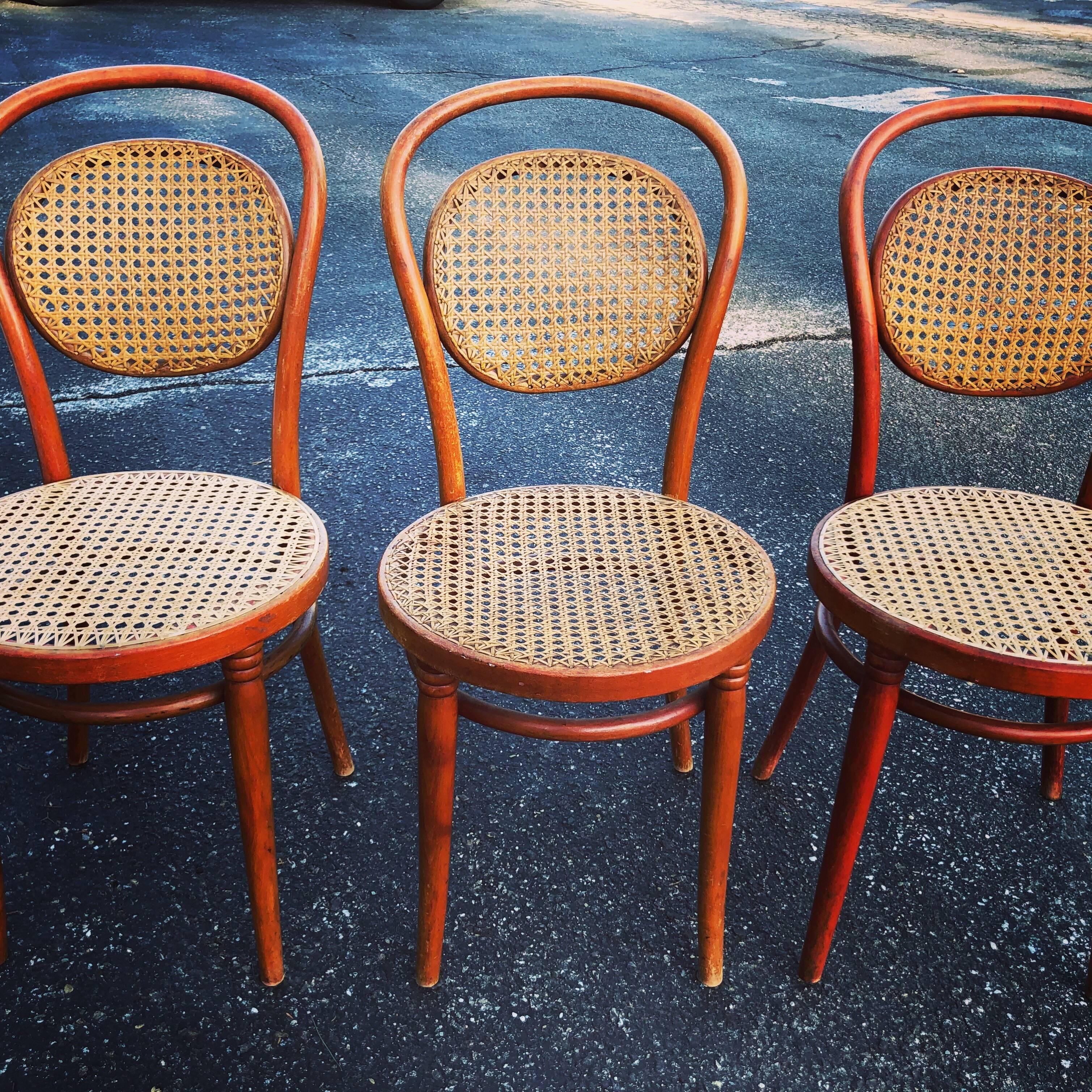 Set of three vintage bentwood Thonet style chairs. All have caning and are in perfect condition. One of three caned seats is darker than the other two. Unusual and possibly rare to see a caned upper back as well. Will break up and sell in sets or