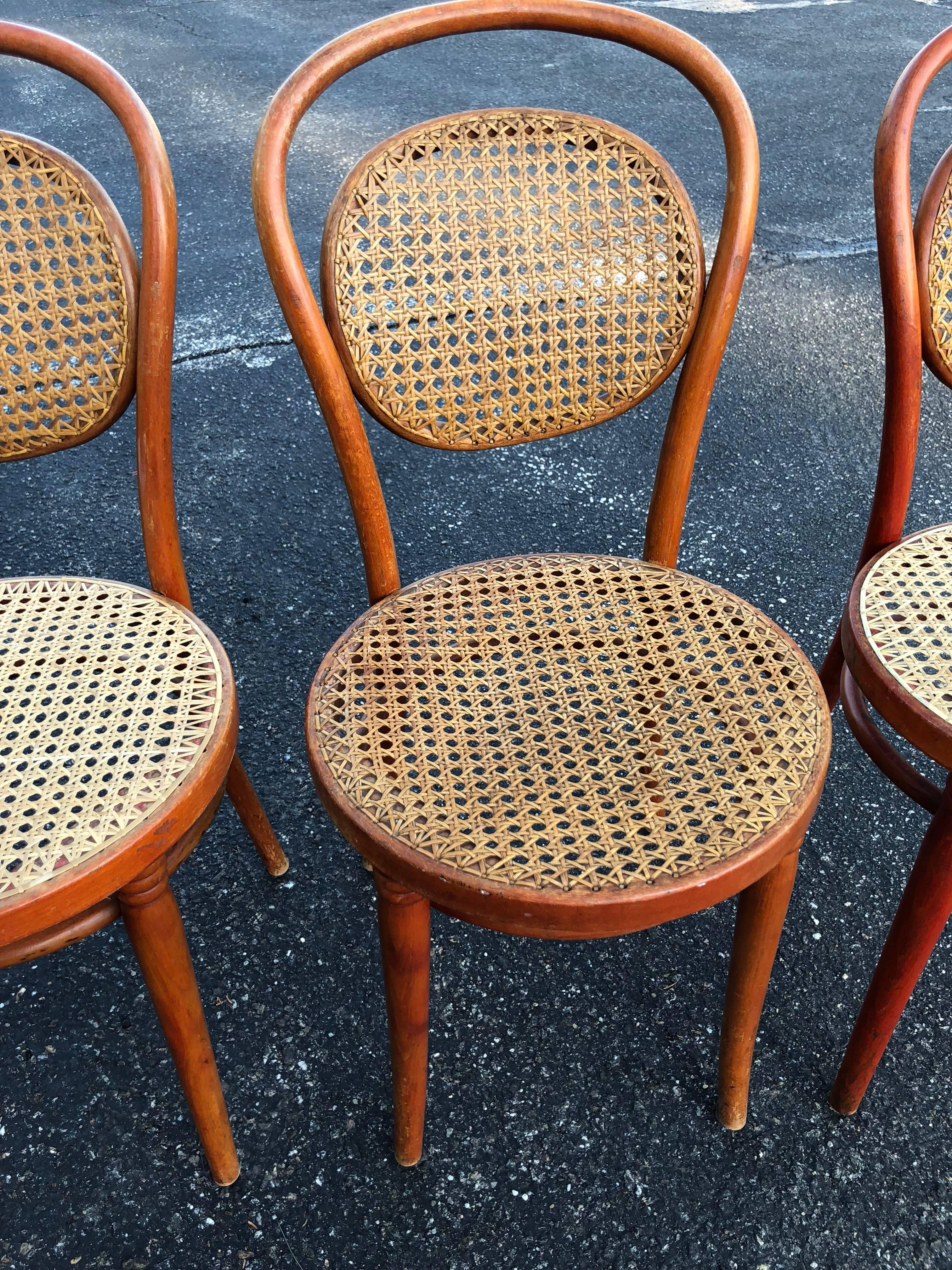 German Set of Three Vintage Bentwood Thonet Style Chairs