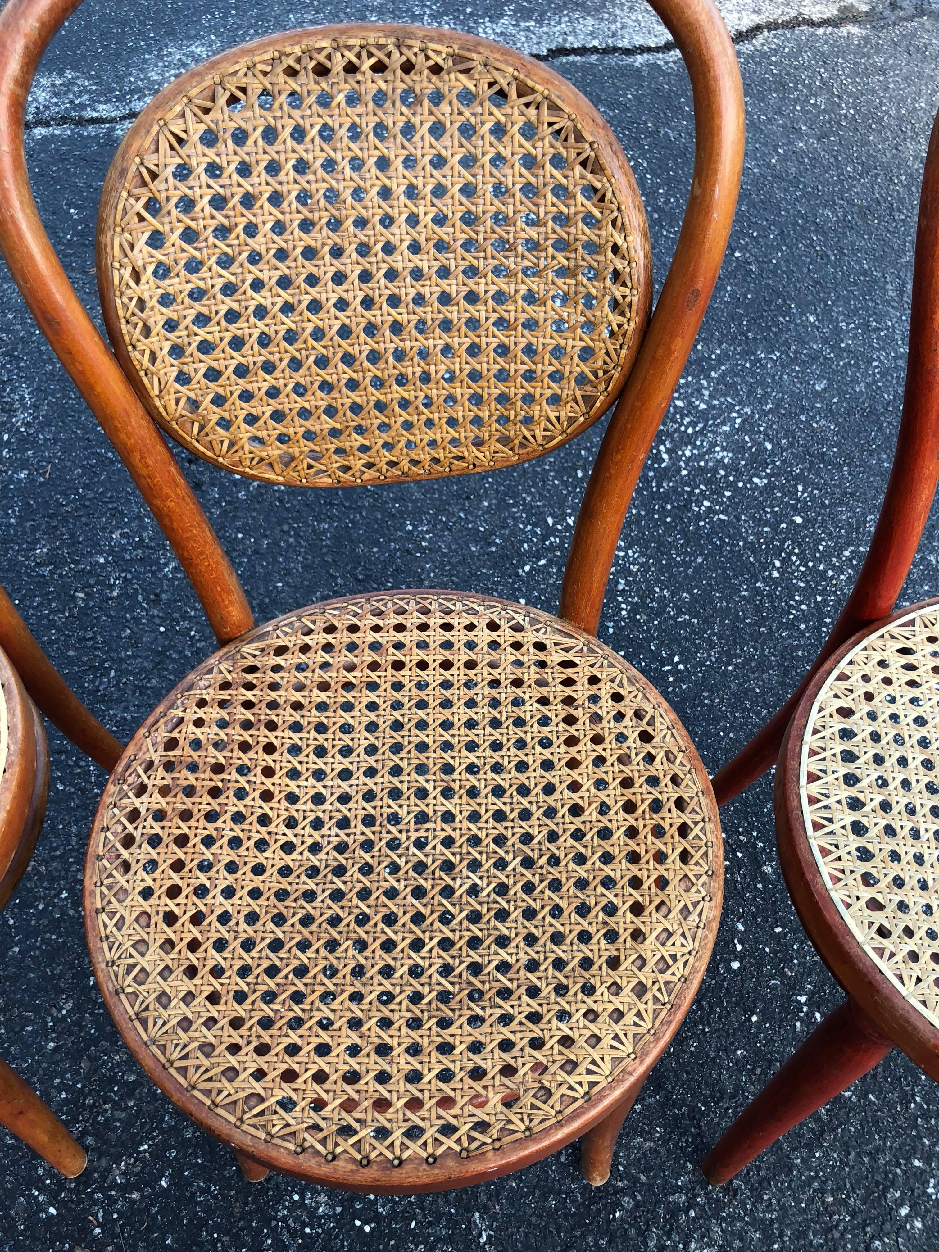 Cane Set of Three Vintage Bentwood Thonet Style Chairs
