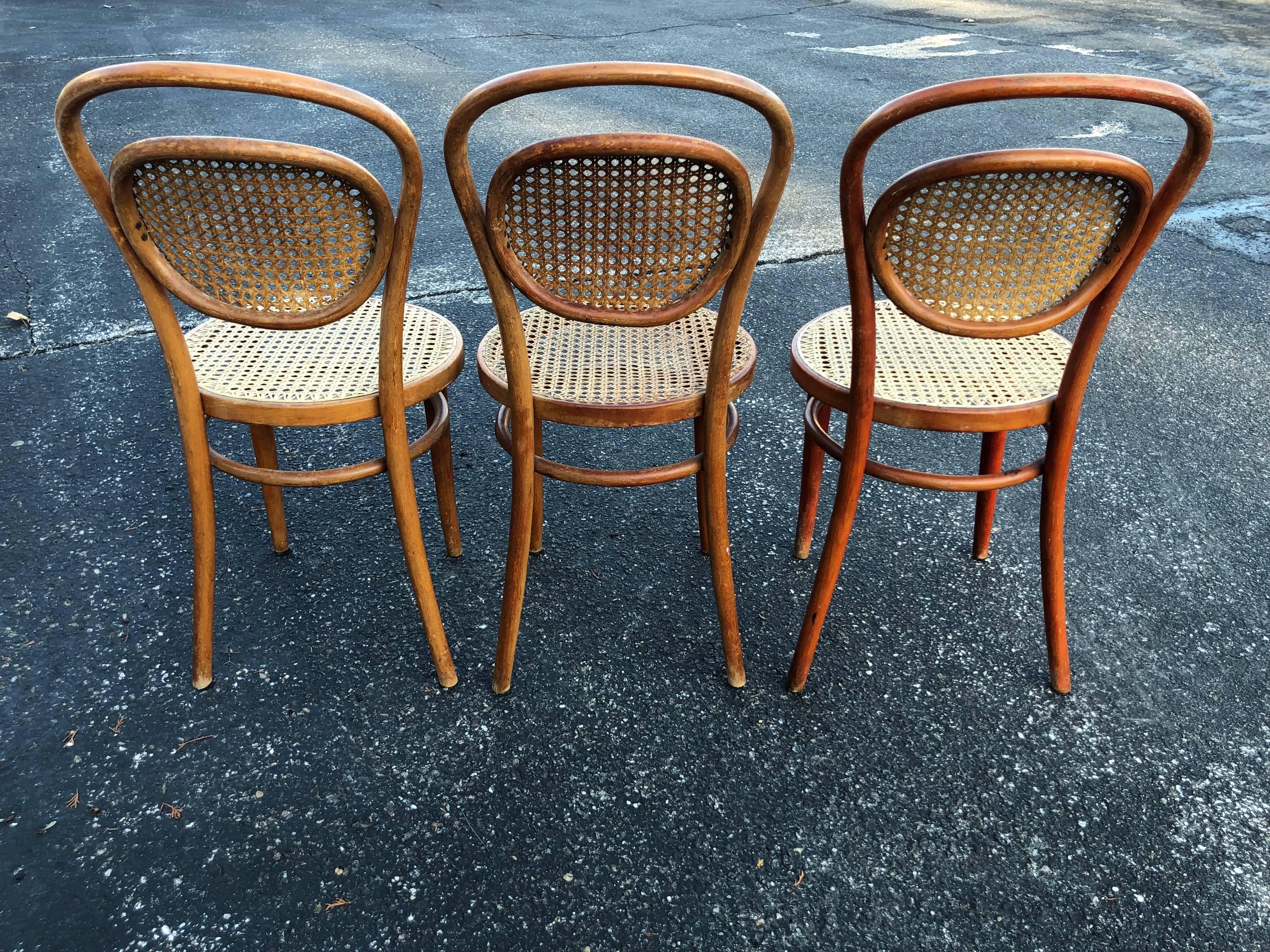 Set of Three Vintage Bentwood Thonet Style Chairs 2