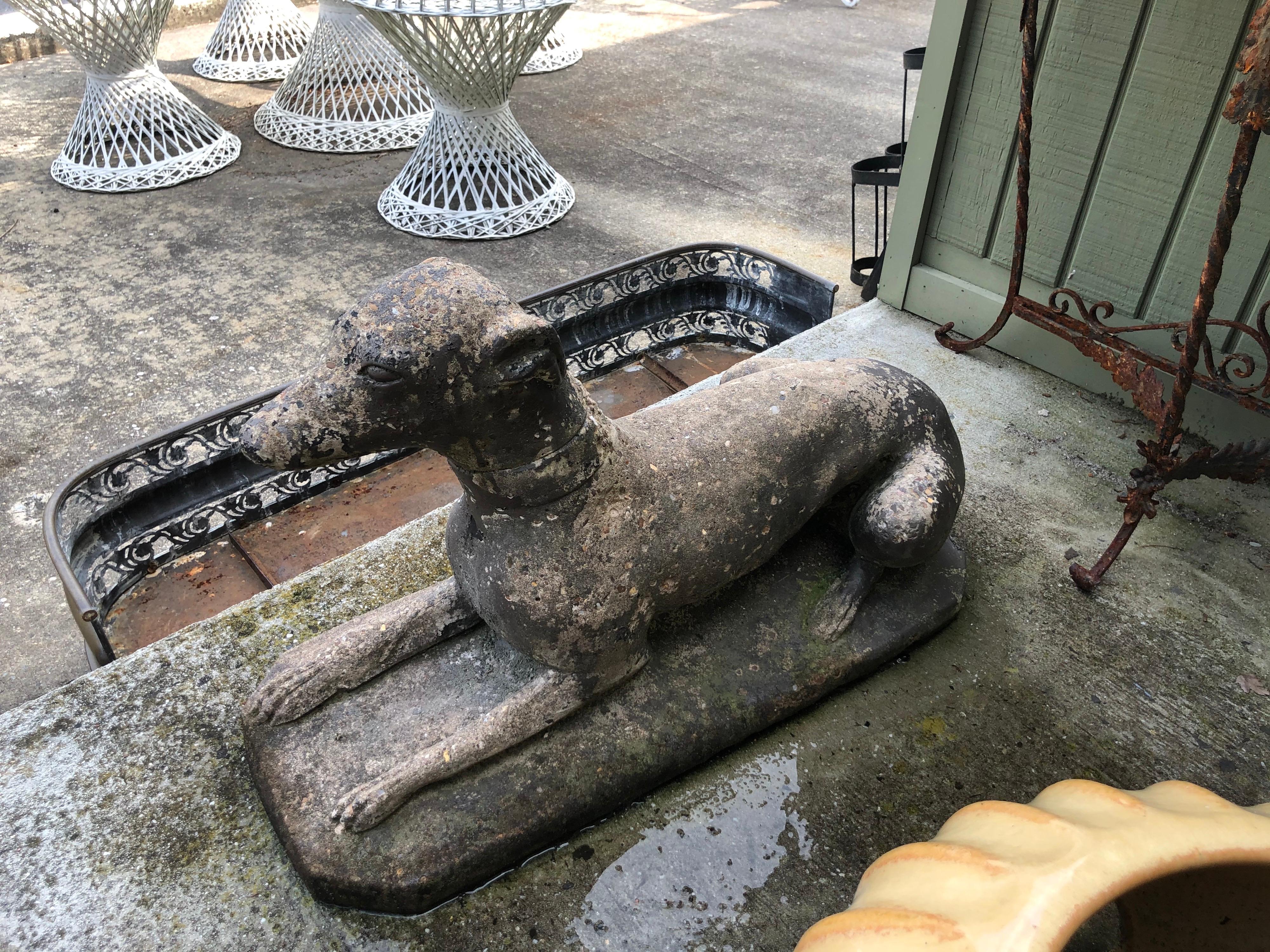 Antique Garden Statue of a Dog or whippet 10