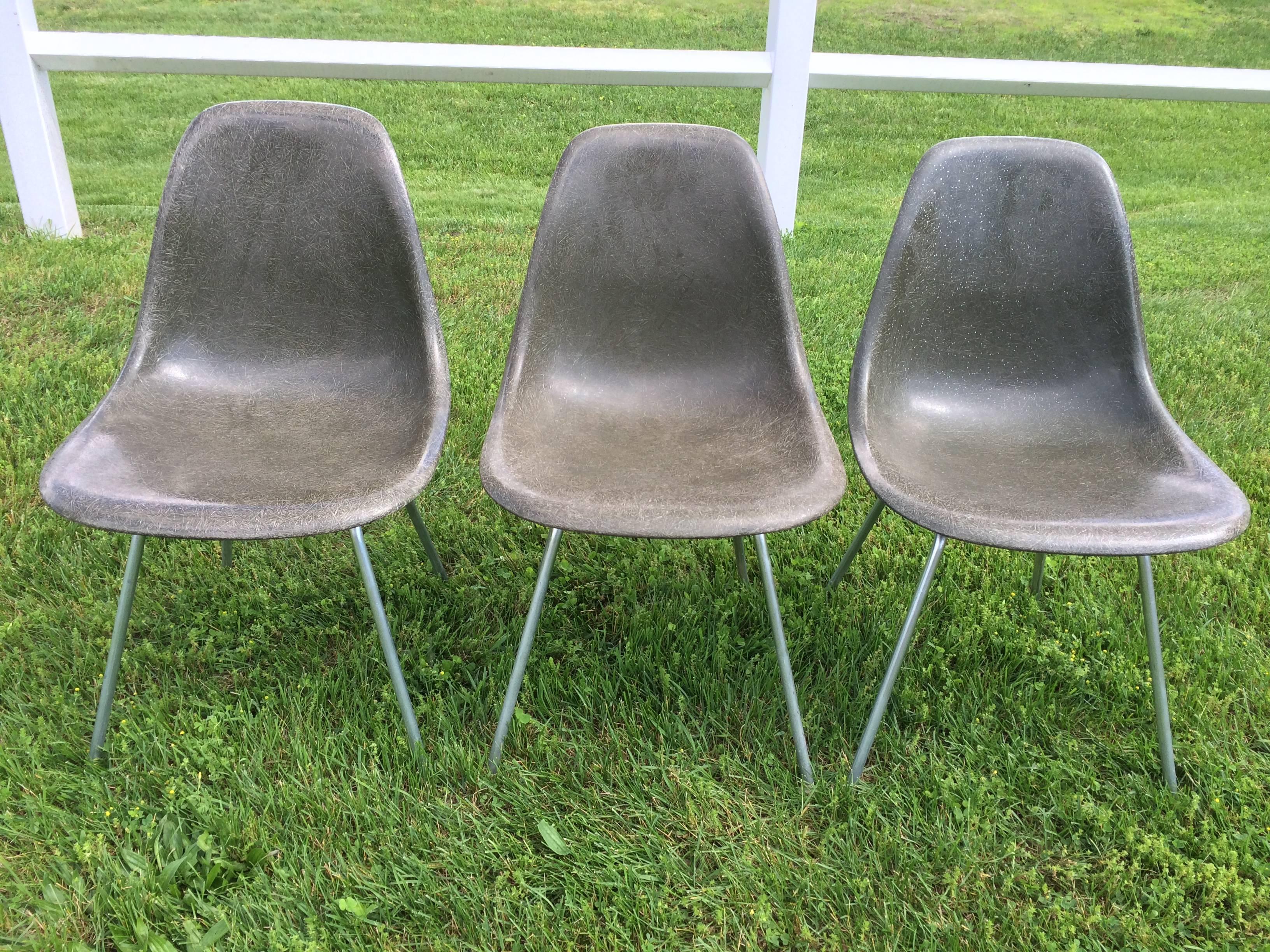 Charles Eames for Herman Miller fiberglass shell side chairs in grey. In very good condition. No chips or damage, just some white paint speckles on the far right chair only of the three. Measures: 31.5 in H x 18.5 in. W x 21 in.D. Classic Minimalist