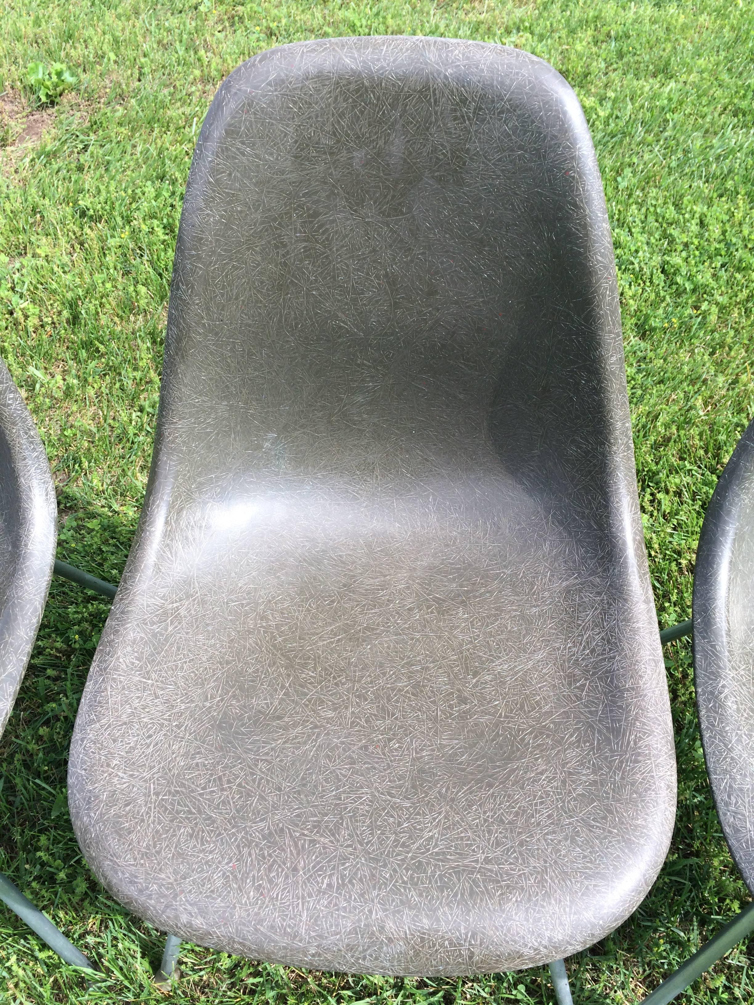 Metal Charles Eames for Herman Miller Fiberglass Shell Side Chairs 