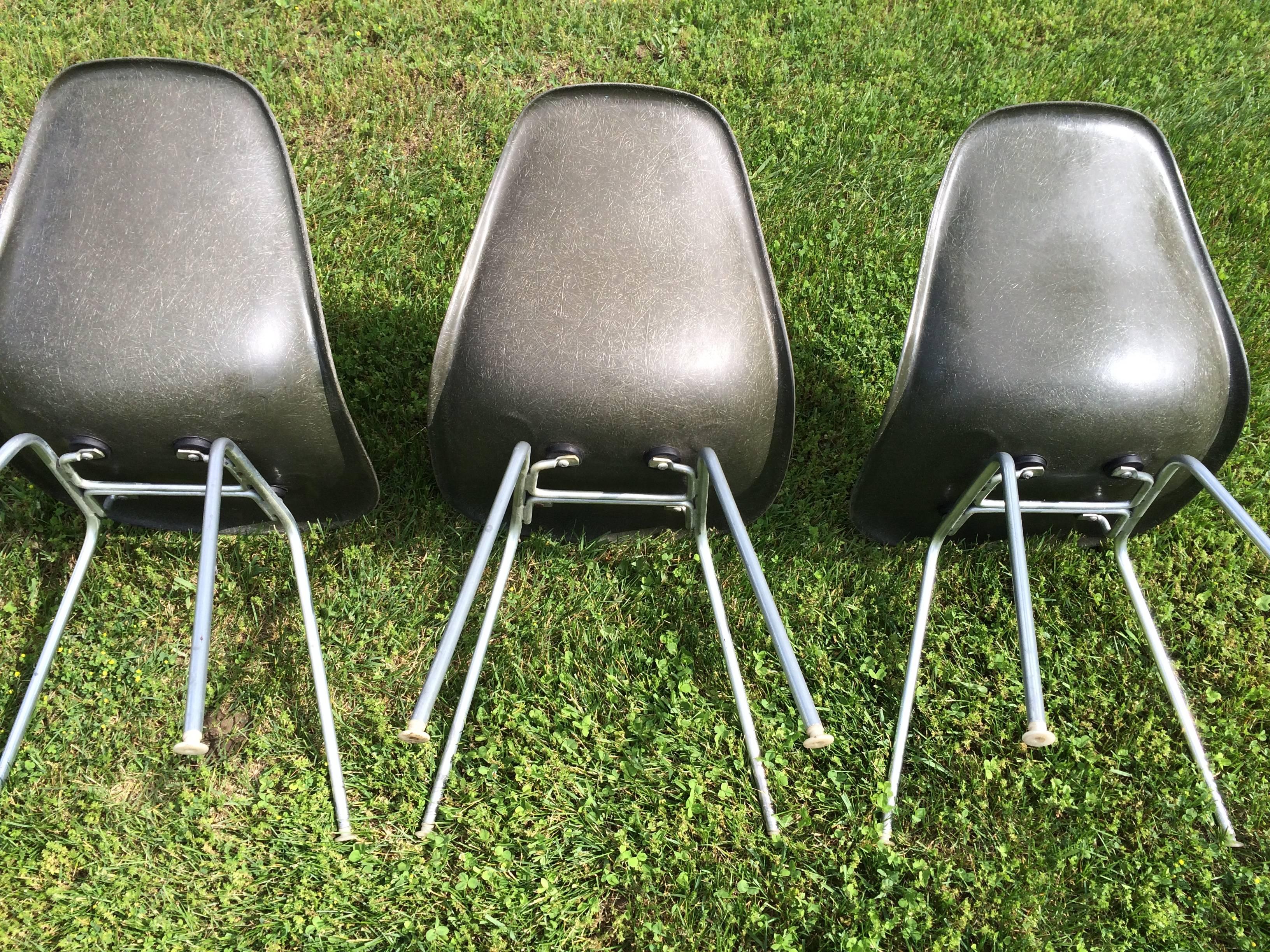 Charles Eames for Herman Miller Fiberglass Shell Side Chairs  2