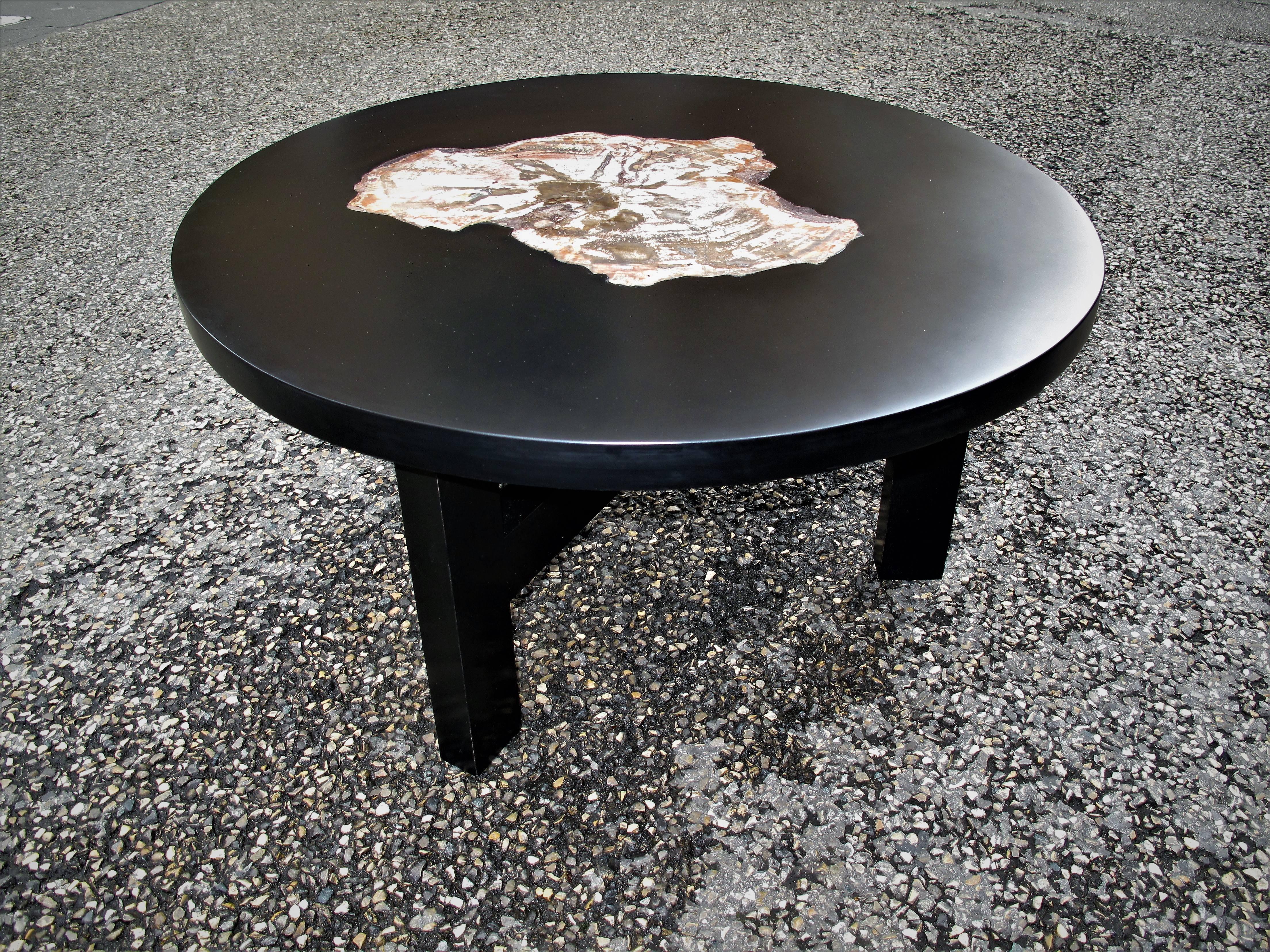 Belgian Petrified Wood Coffee Table Design For Sale