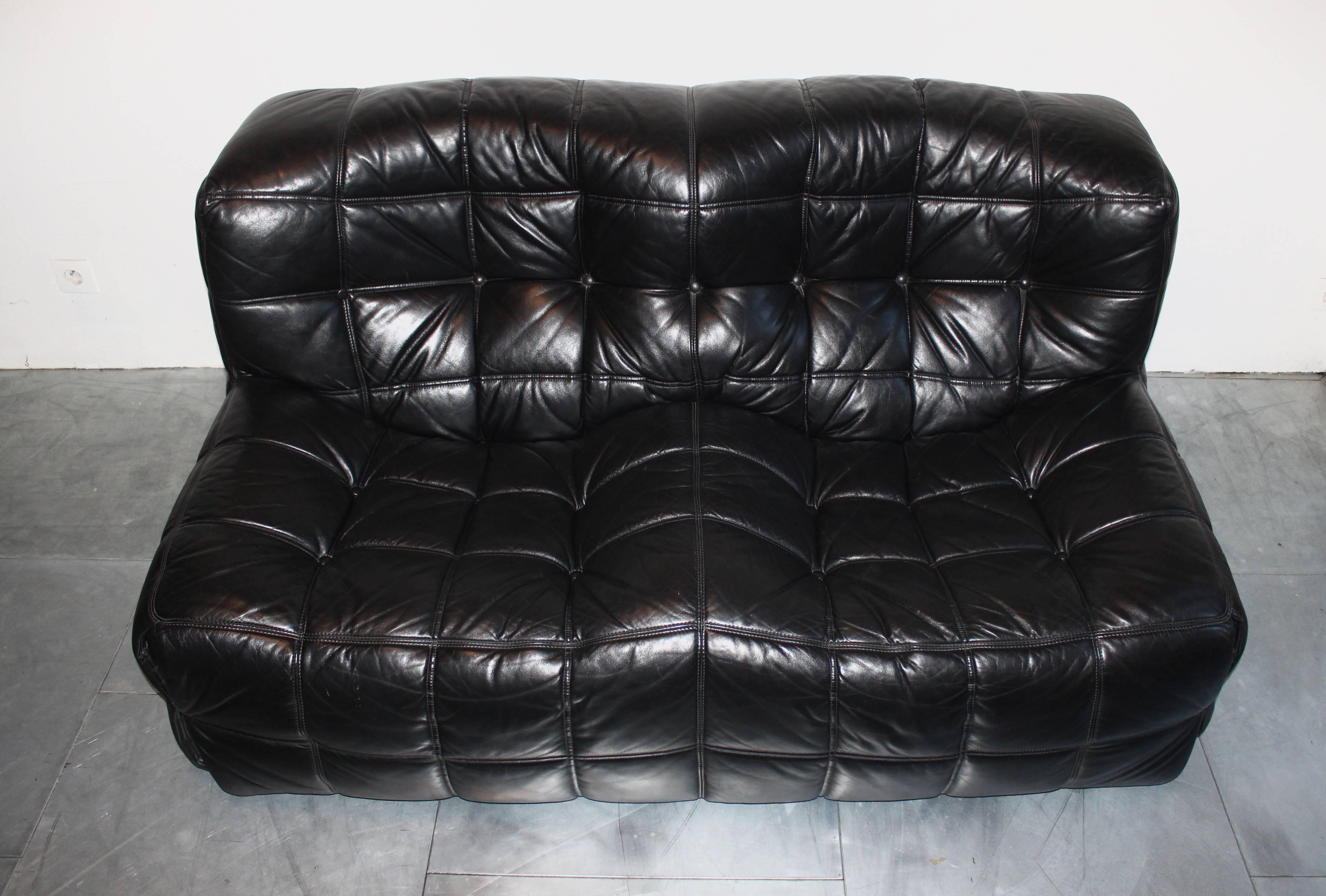 Mid-Century Modern Michel Ducaroy a Pair of Kashima Leather Sofa Ligne Roset France For Sale