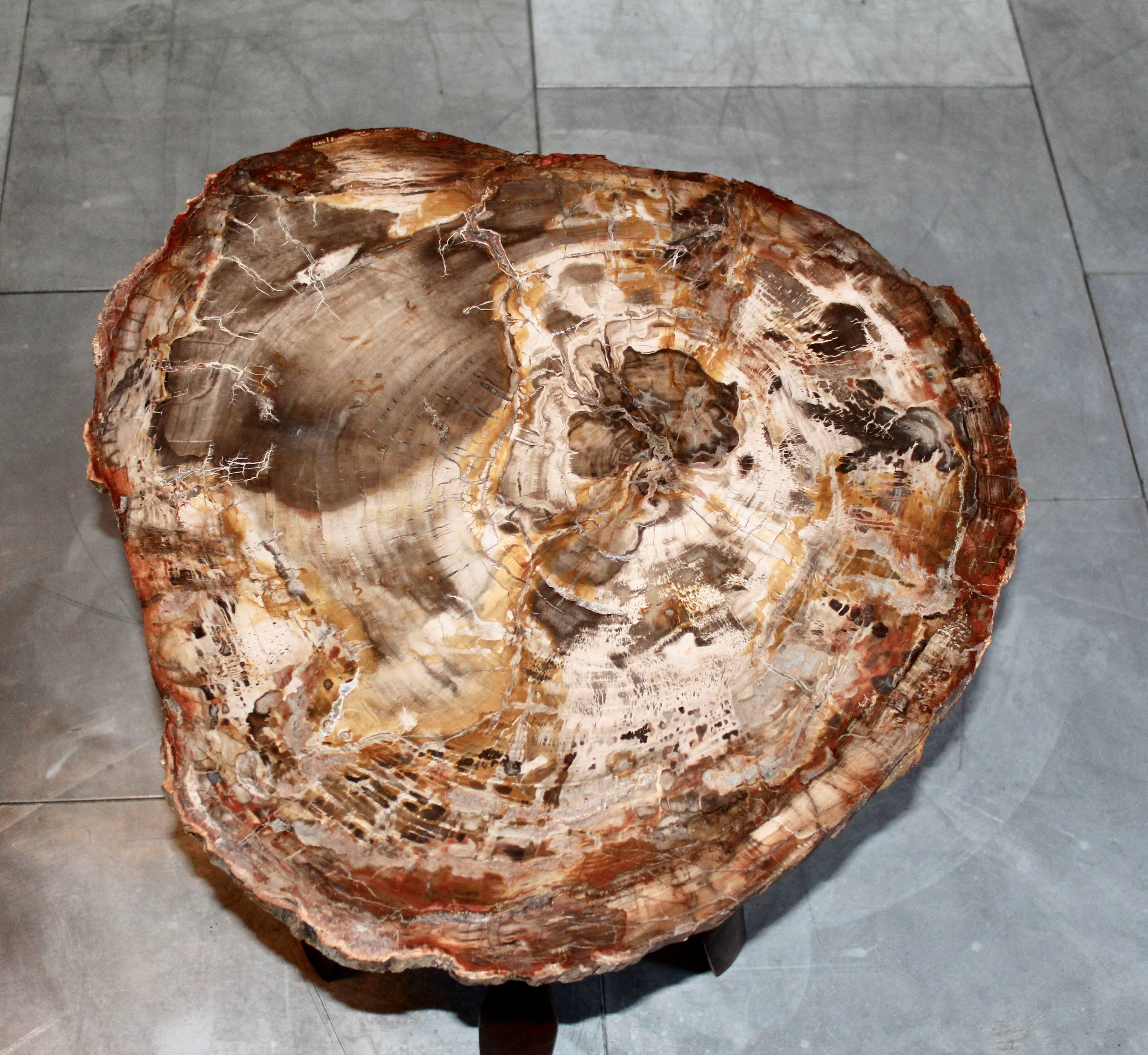 Mid-Century Modern  Petrified Wood Table with African Rosewood Foot For Sale
