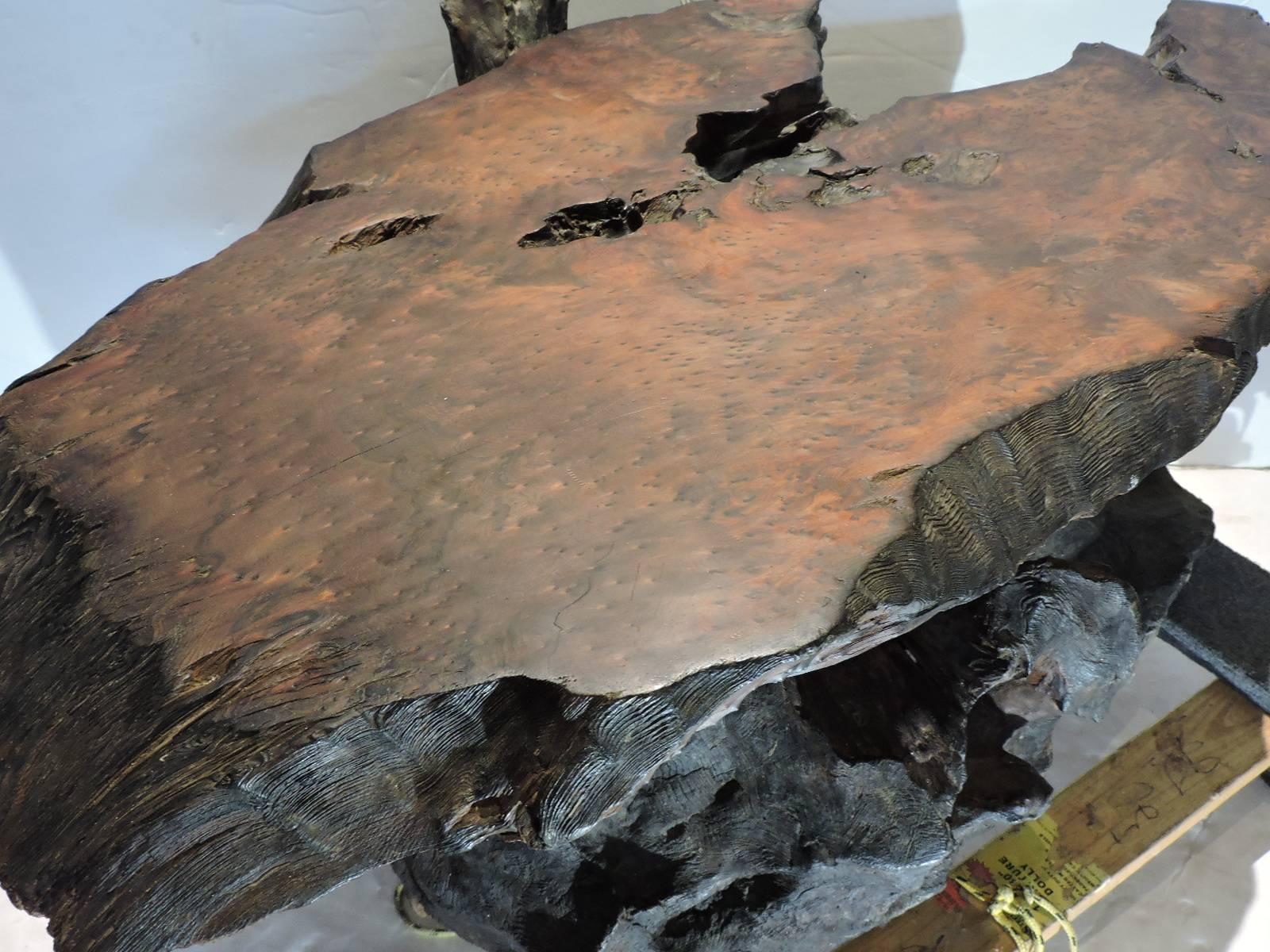 California Redwood Burl Coffee Table In Good Condition In Rochester, NY