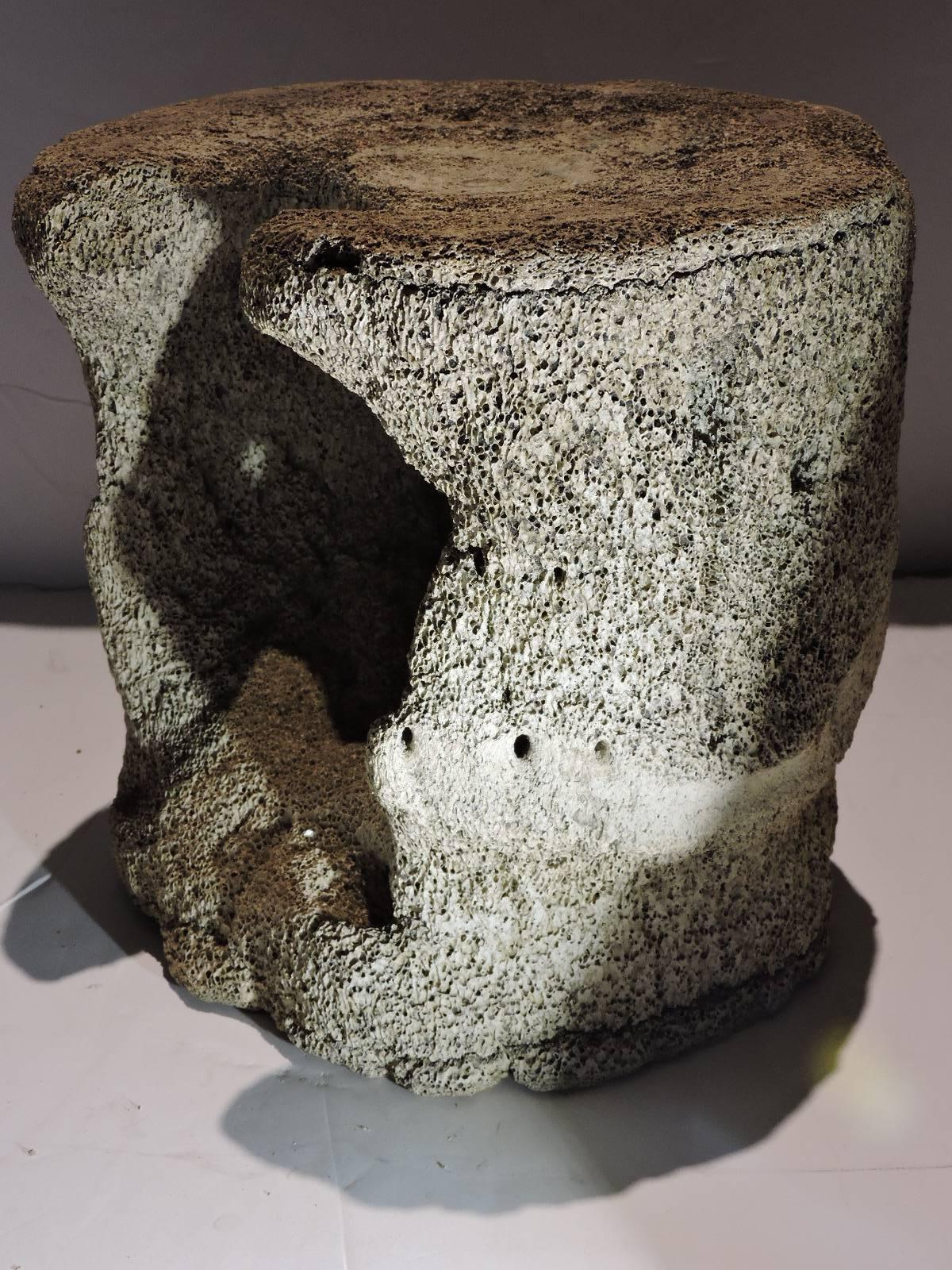 Ancient Whale Vertebrae Natural History Specimen  In Excellent Condition In Rochester, NY