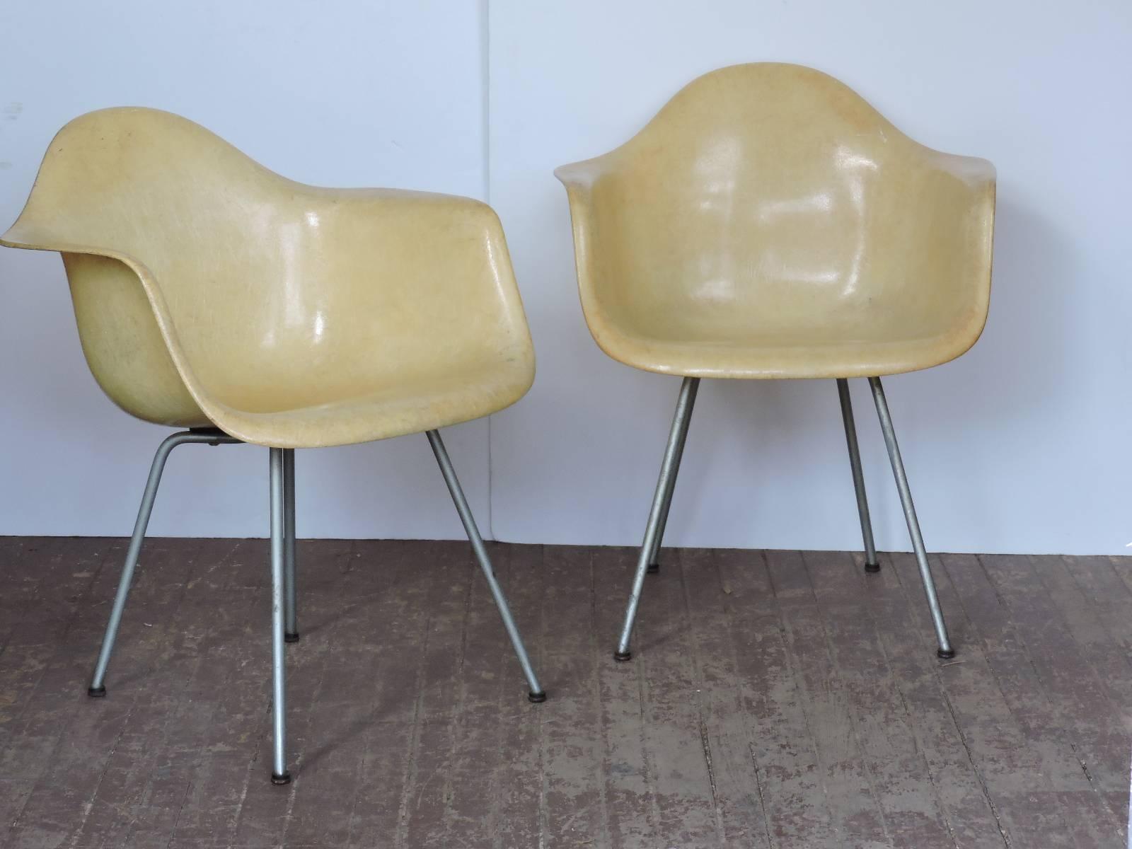 Pair of all original first generation Charles and Ray Eames parchment very pale lemon yellow fiberglass rope edge armchairs with X-base and large shock mounts, zinc legs and domes of silence glides. Zenith plastics for Herman Miller checkerboard