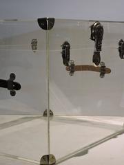 Mid-20th Century Large Lucite Trunk