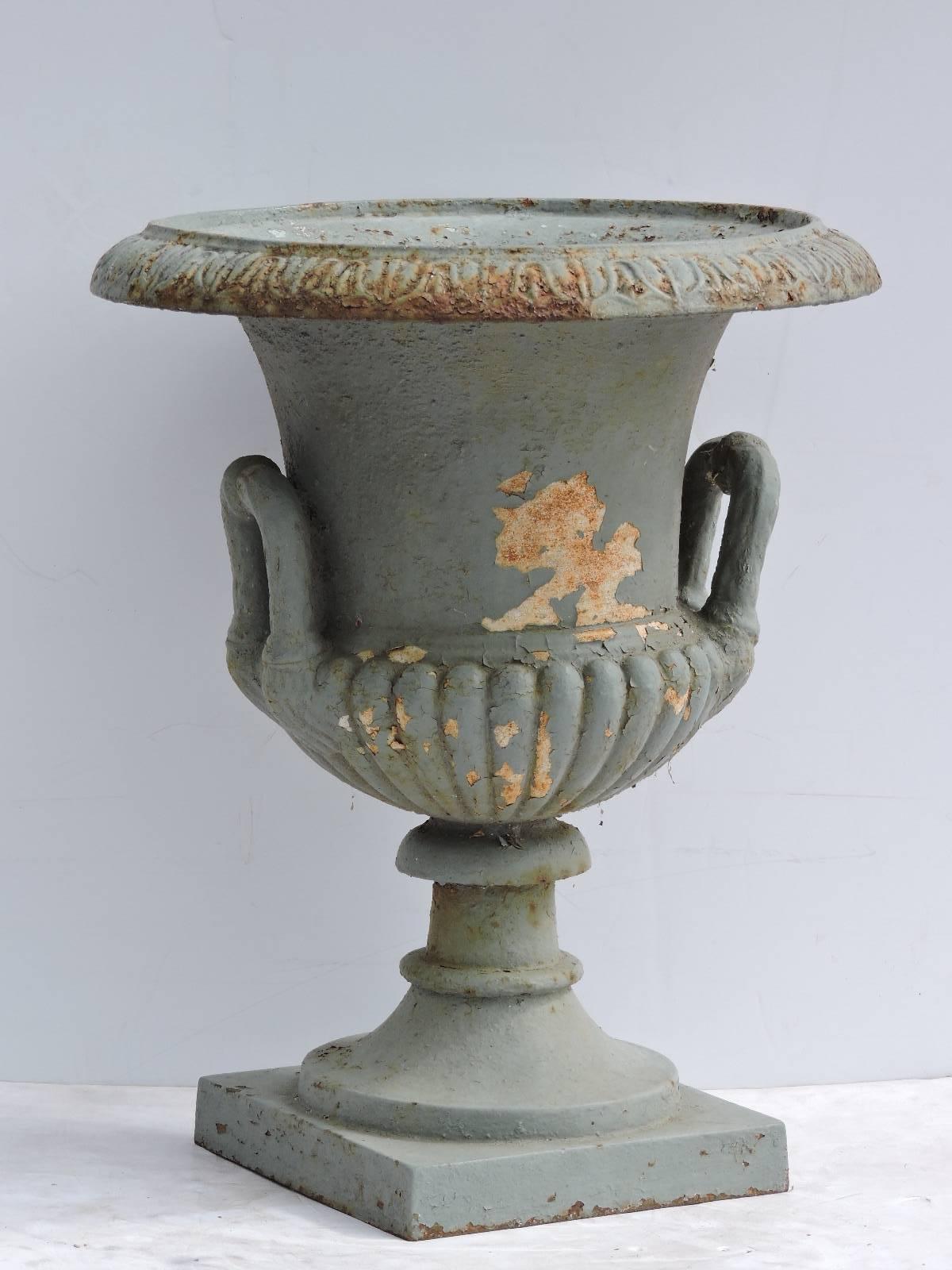 Antique classical campagna form cast iron garden urn in older worn gray green painted surface with underlying white paint evident, American, circa 1900.
