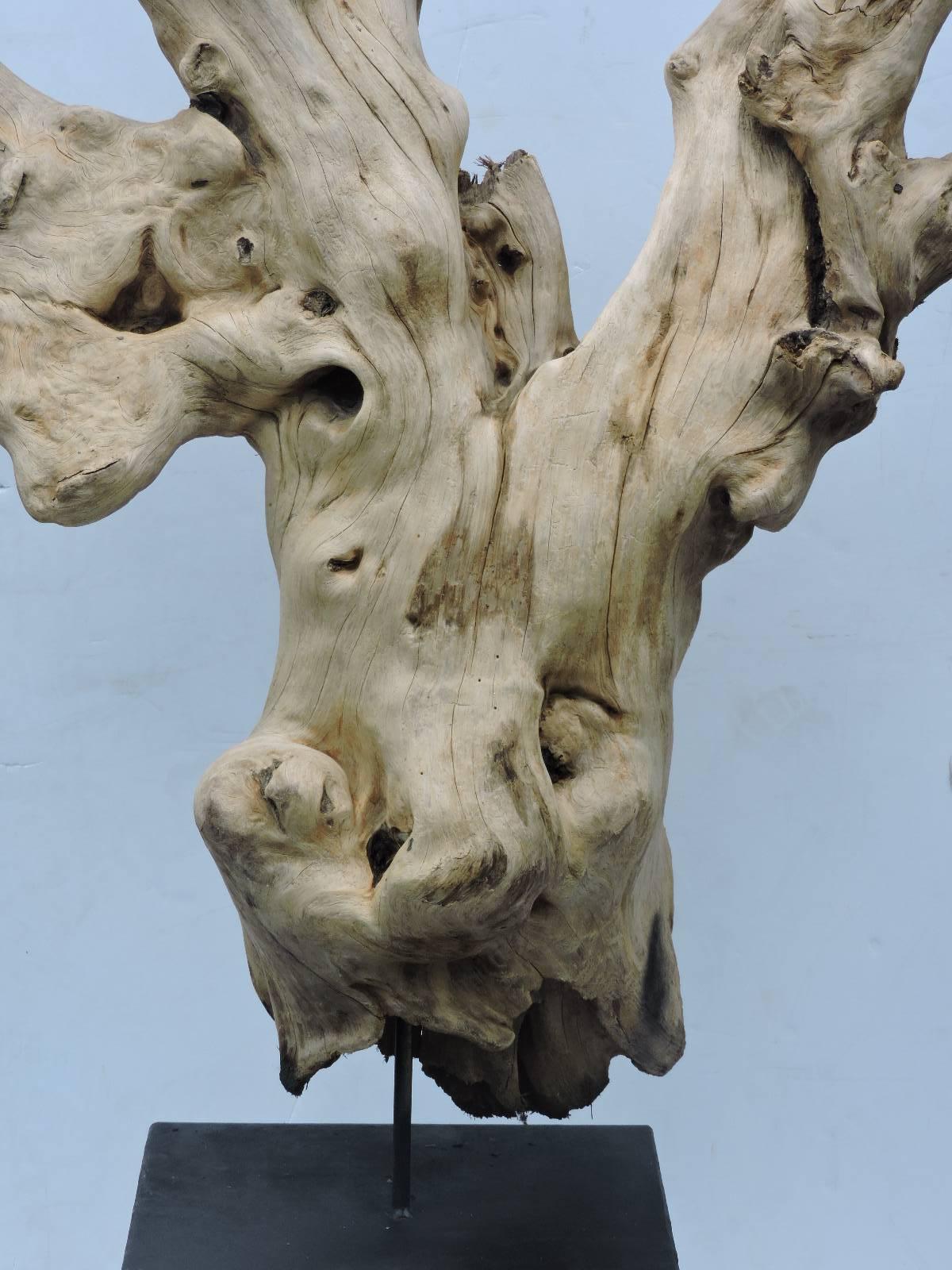 Organic Modern Old Driftwood Mounted Sculpture