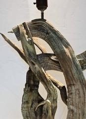 Tall Driftwood Table Lamp