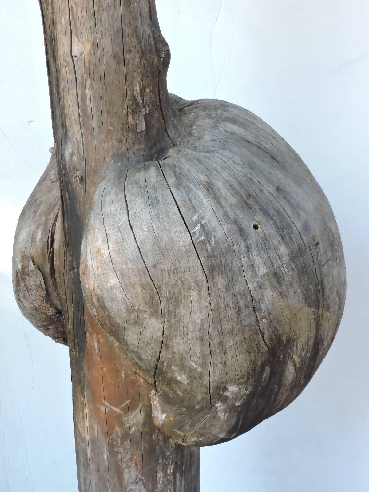 Américain Énorme sculpture de chérubins anciens montée sur broussin en broussin en vente