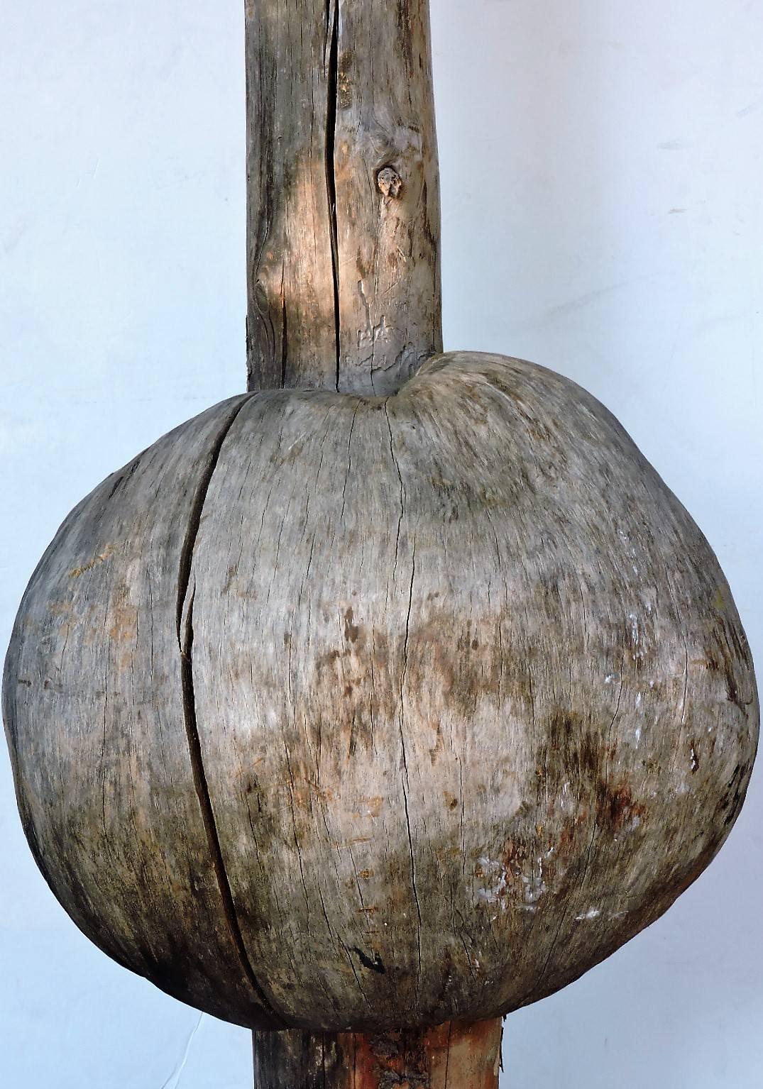 Organique Énorme sculpture de chérubins anciens montée sur broussin en broussin en vente
