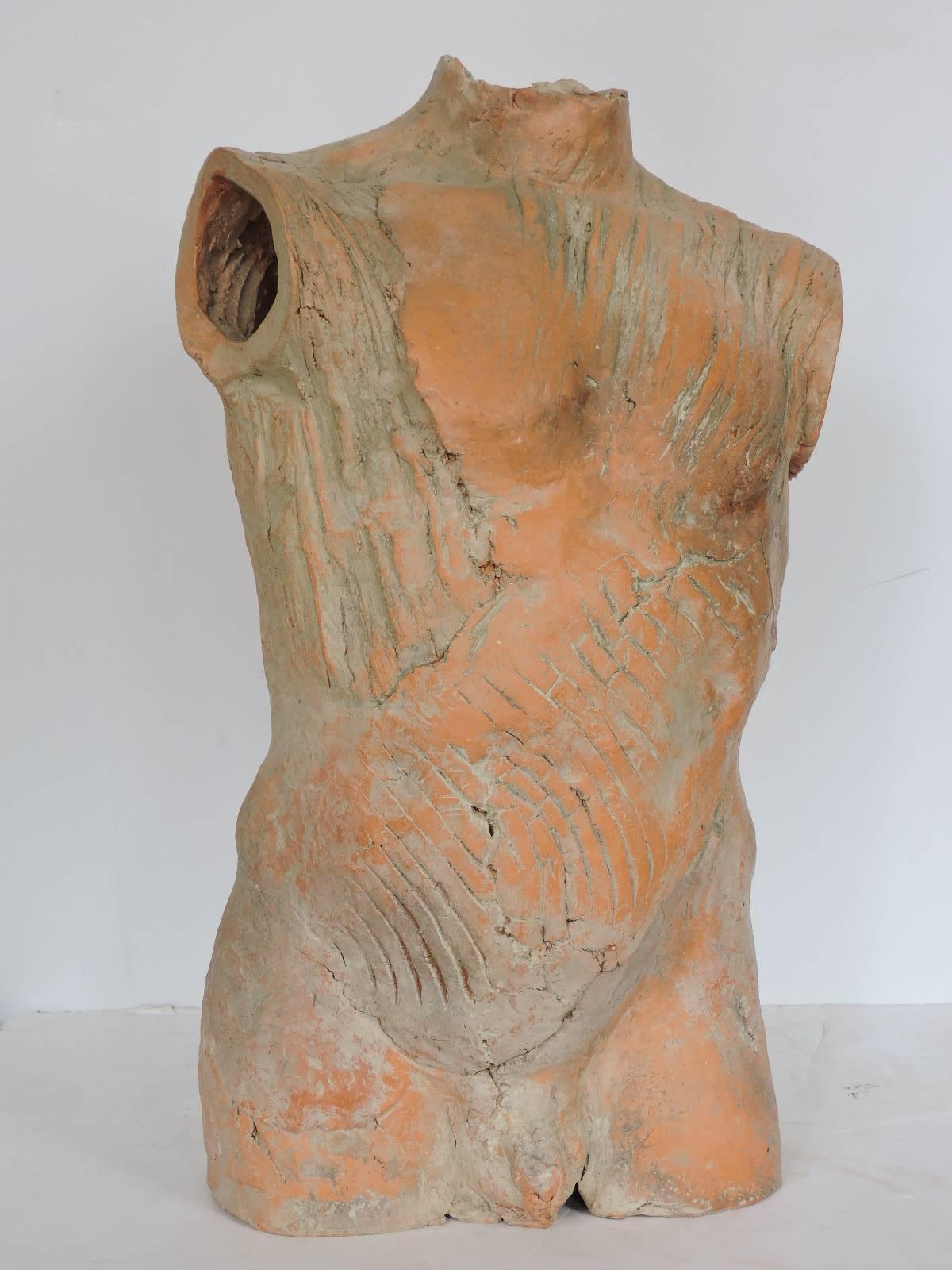 Life-size anatomical male nude hand built terracotta torso sculpture in beautifully aged color patina and powerfully detailed tension to ceramic by Professor Eddie Davis (1945-2012 ) Rochester Institute of Technology School for American Craftsmen -