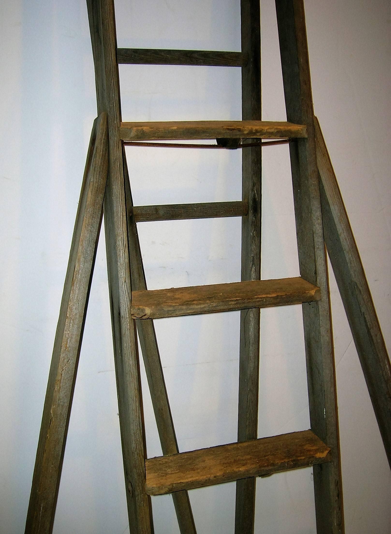 Old folding three legged tripod form fruit picking harvest ladder in original naturally aged worn weathered surface from years of outdoor use at a Western NY State orchard.