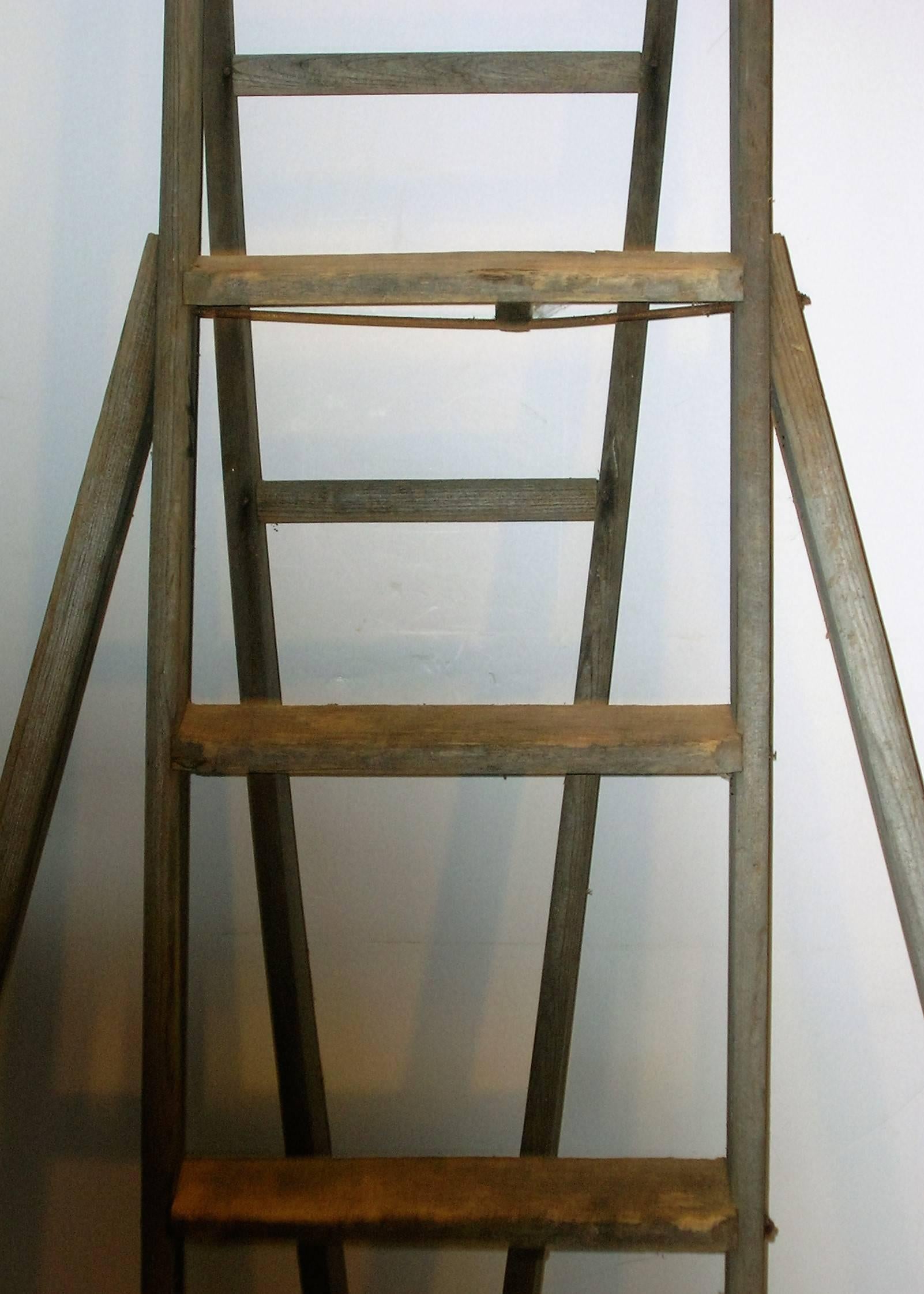 North American Old Orchard Ladder