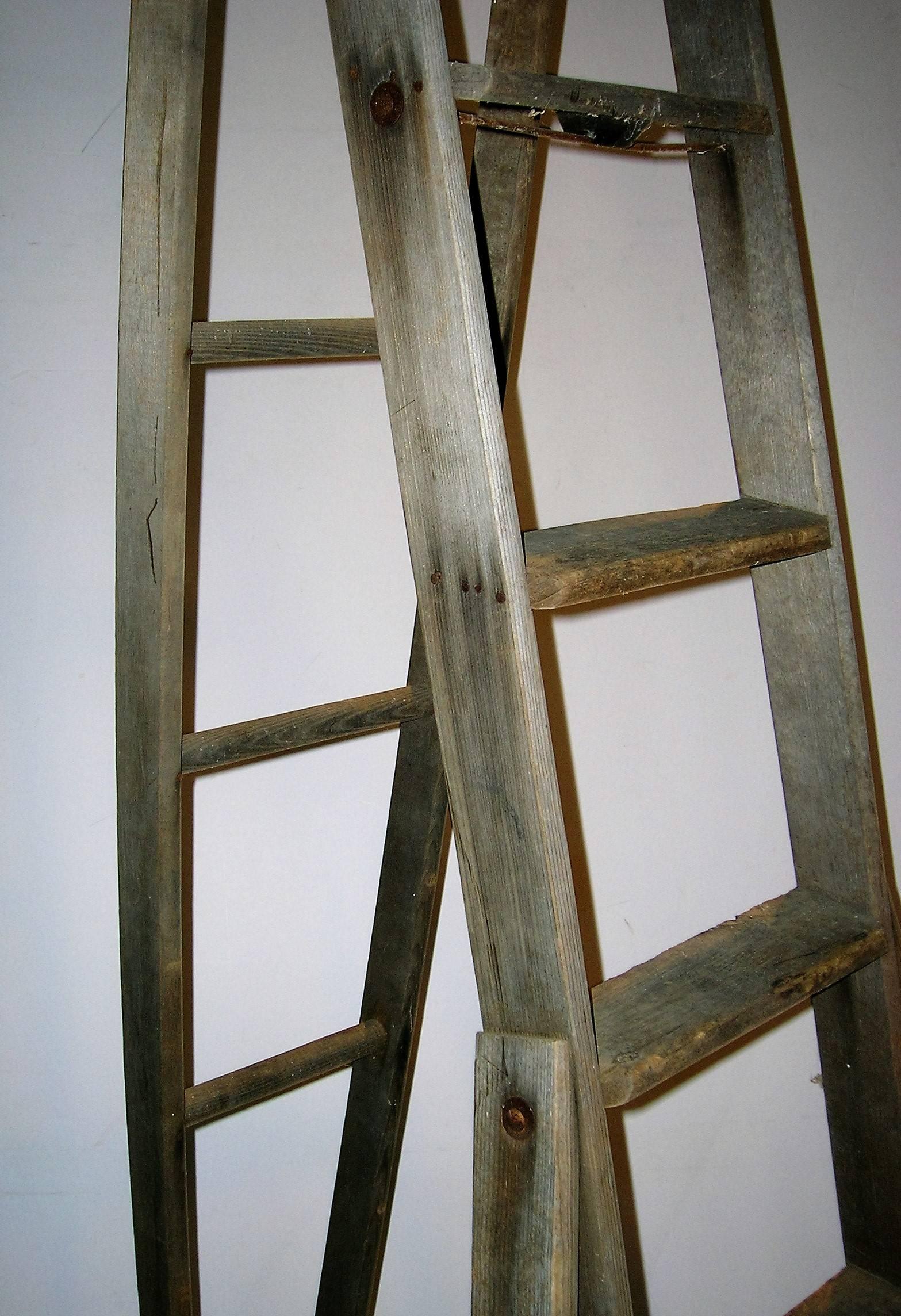 20th Century Old Orchard Ladder