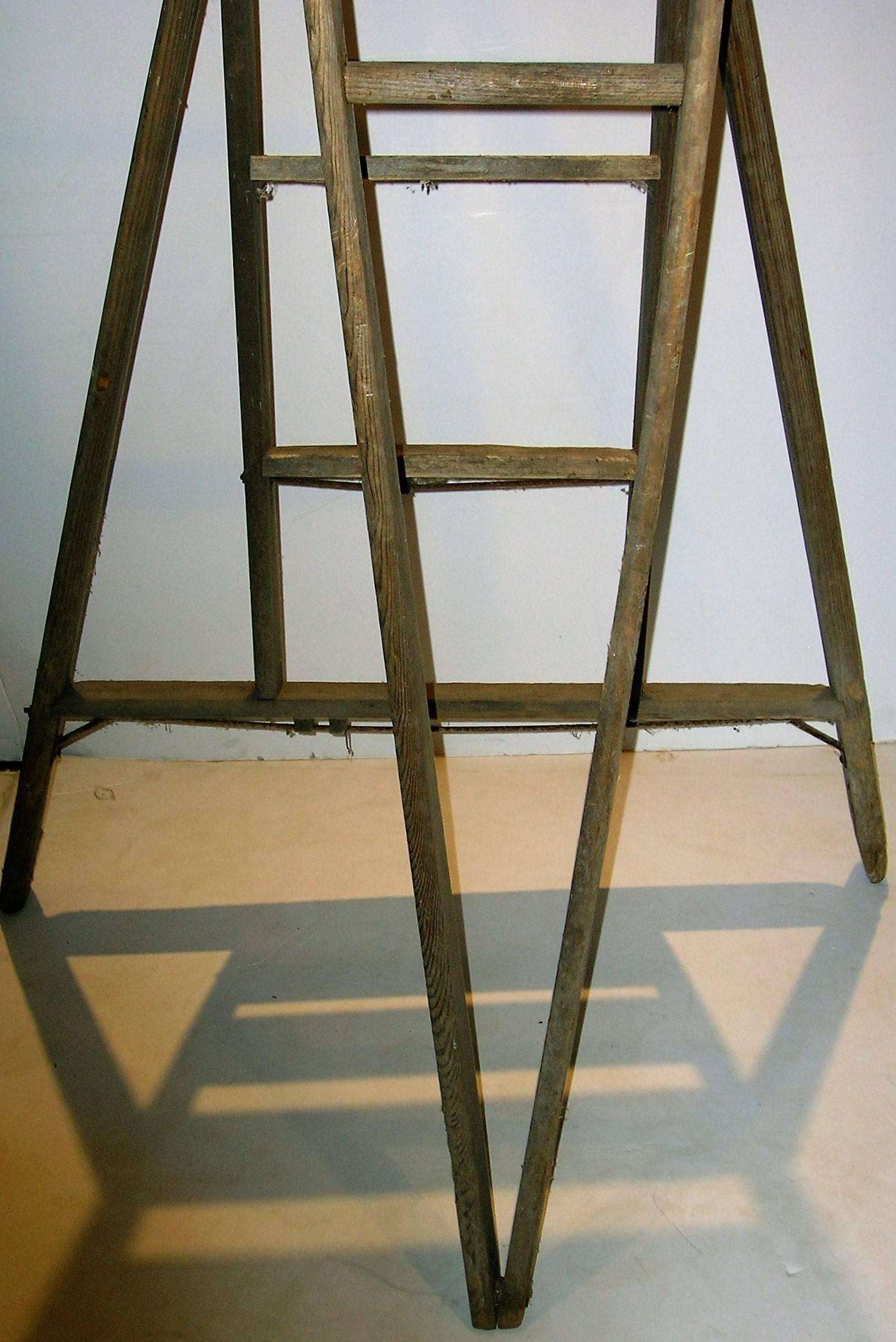 Metal Old Orchard Ladder