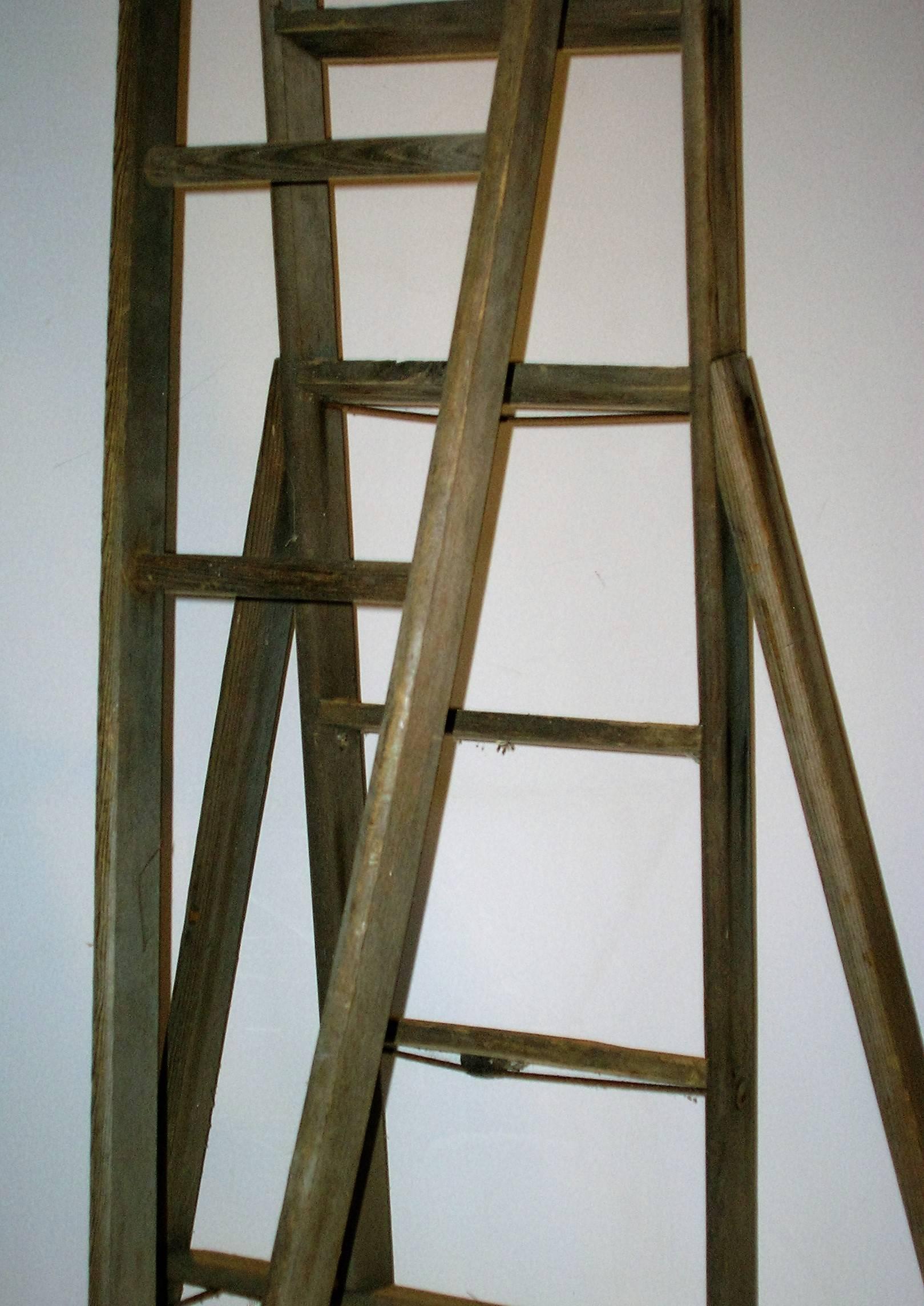 Old Orchard Ladder 2
