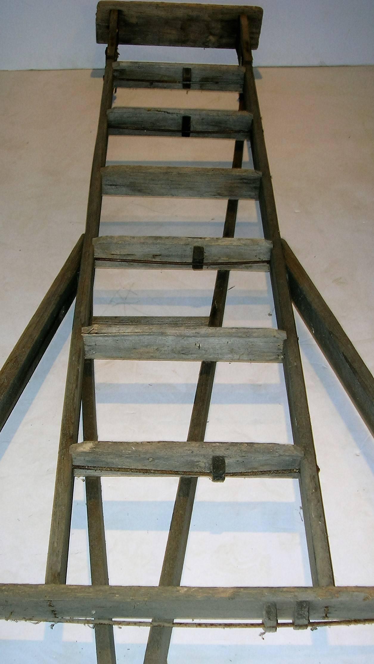 Old Orchard Ladder 1