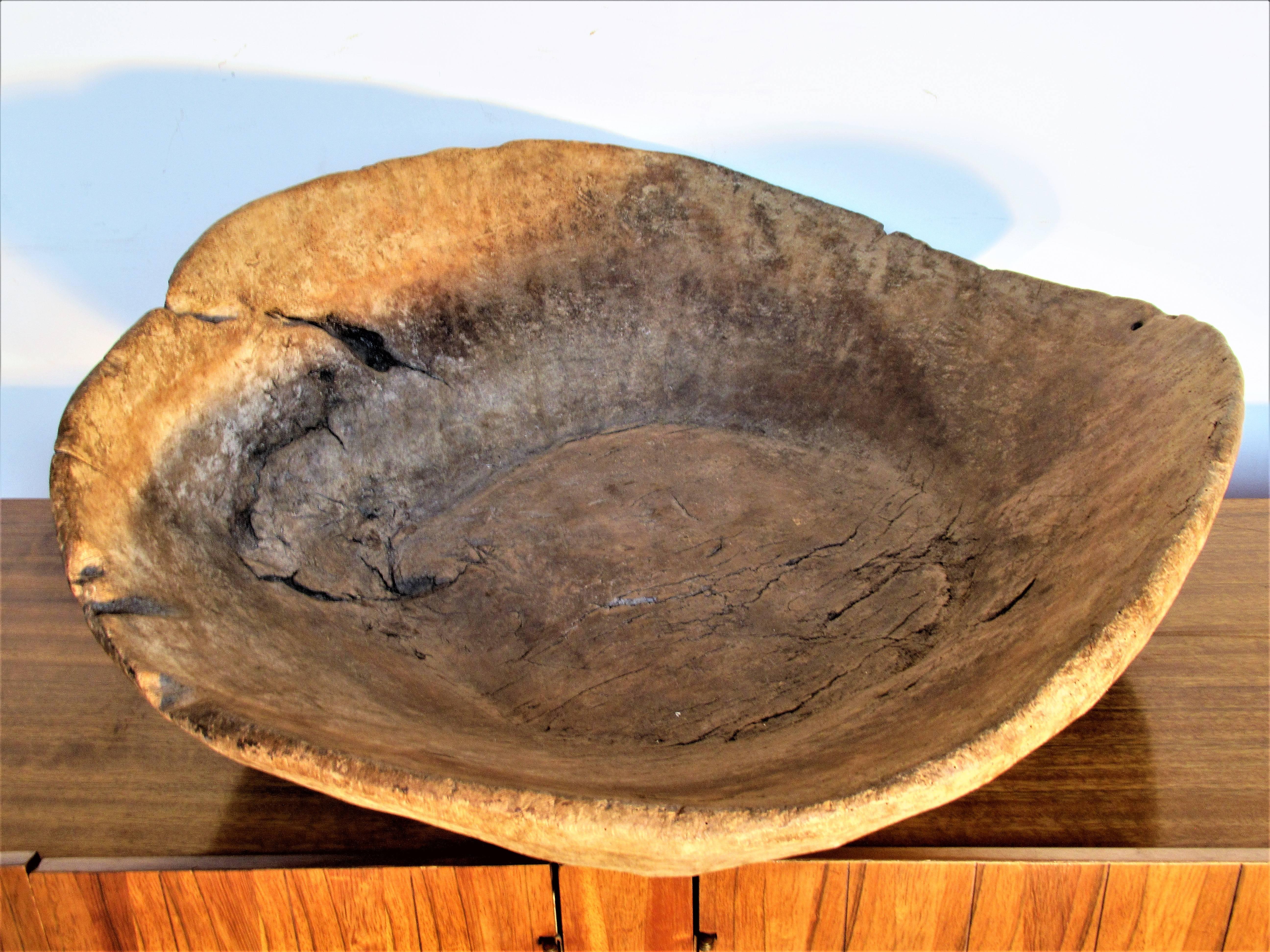 Late 18th Century Massive Antique Ash Burl Bowl