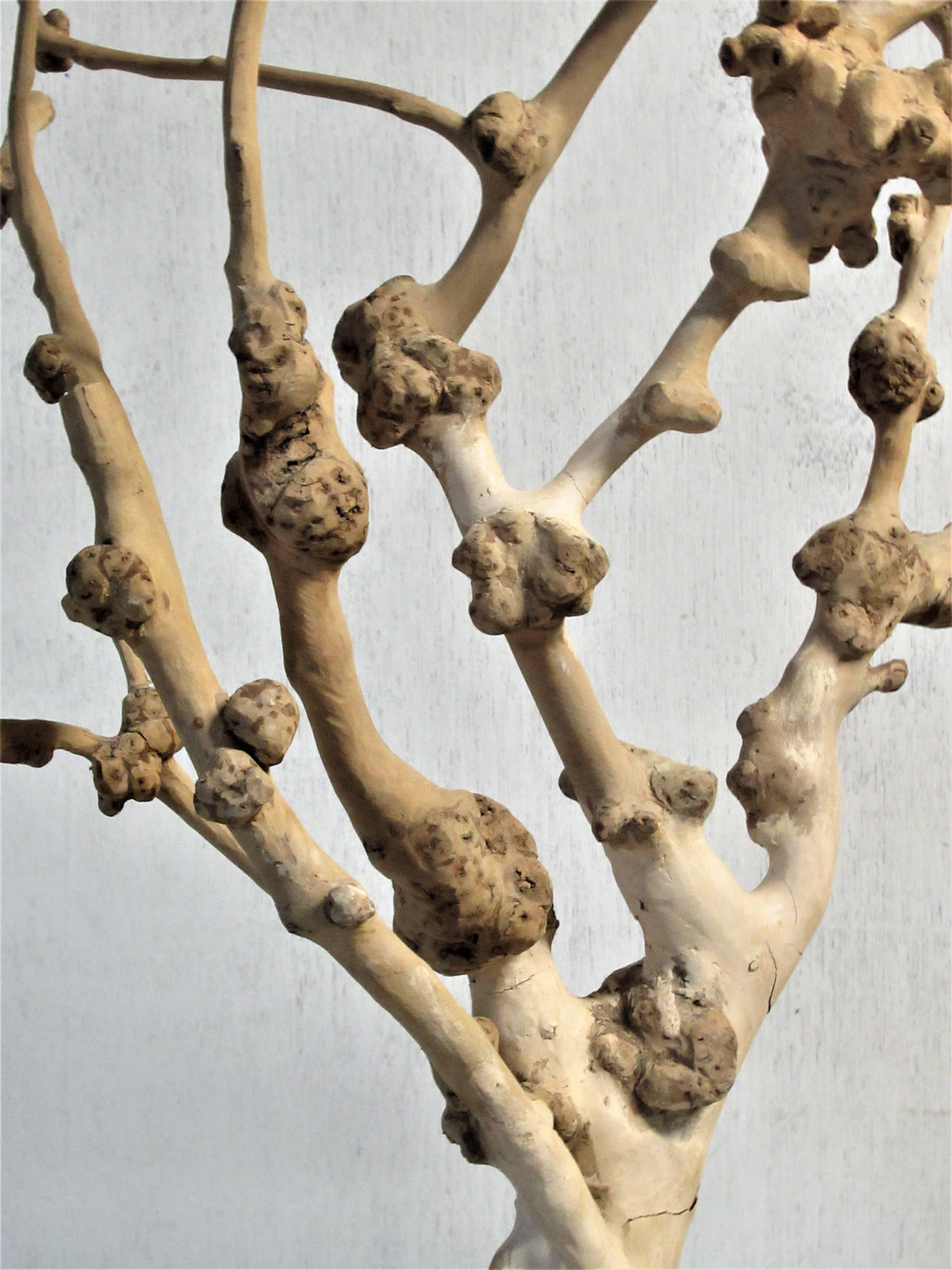 20th Century Old Natural Burl Root Tree Form Sculpture