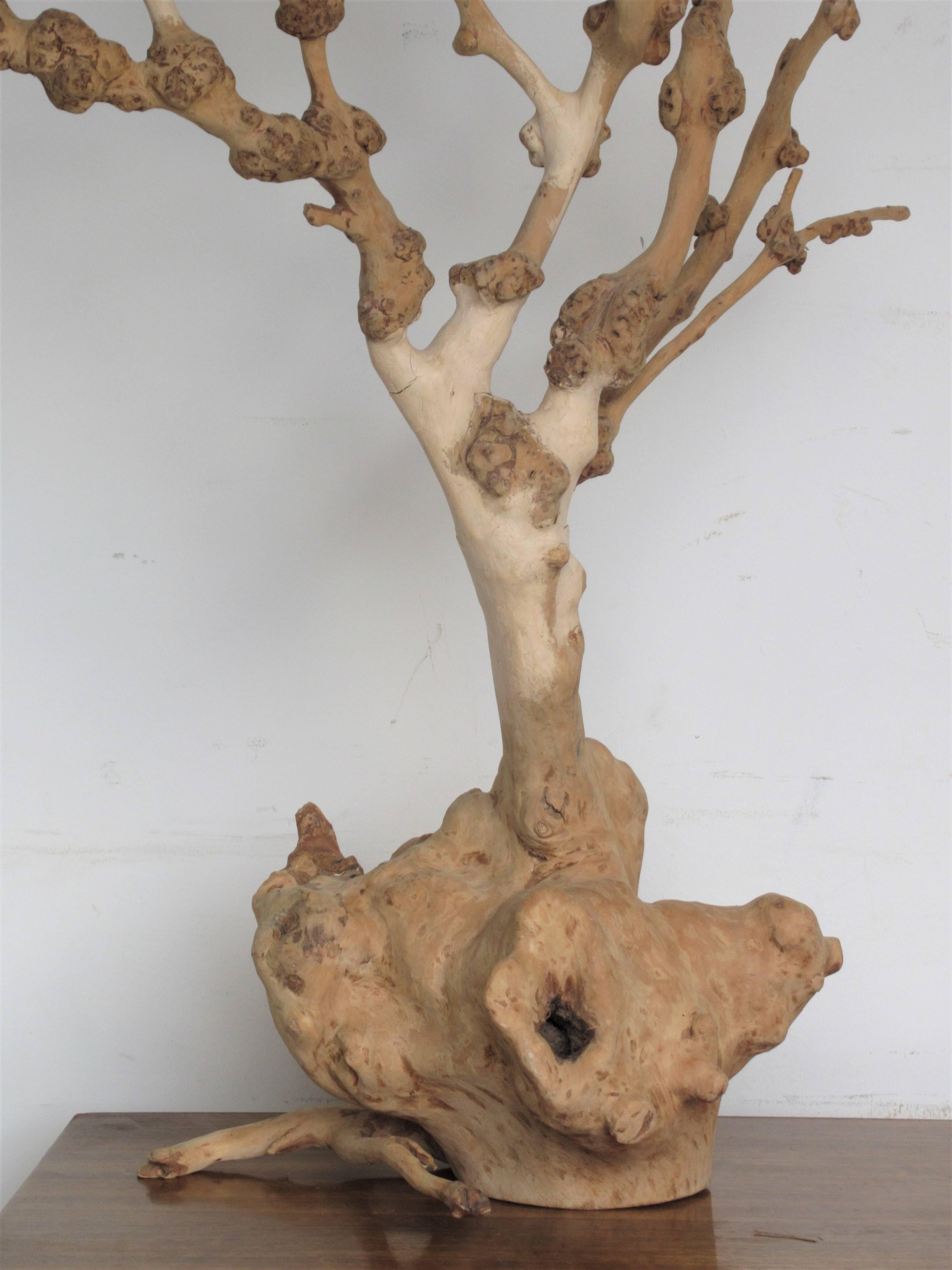 Old Natural Burl Root Tree Form Sculpture 3