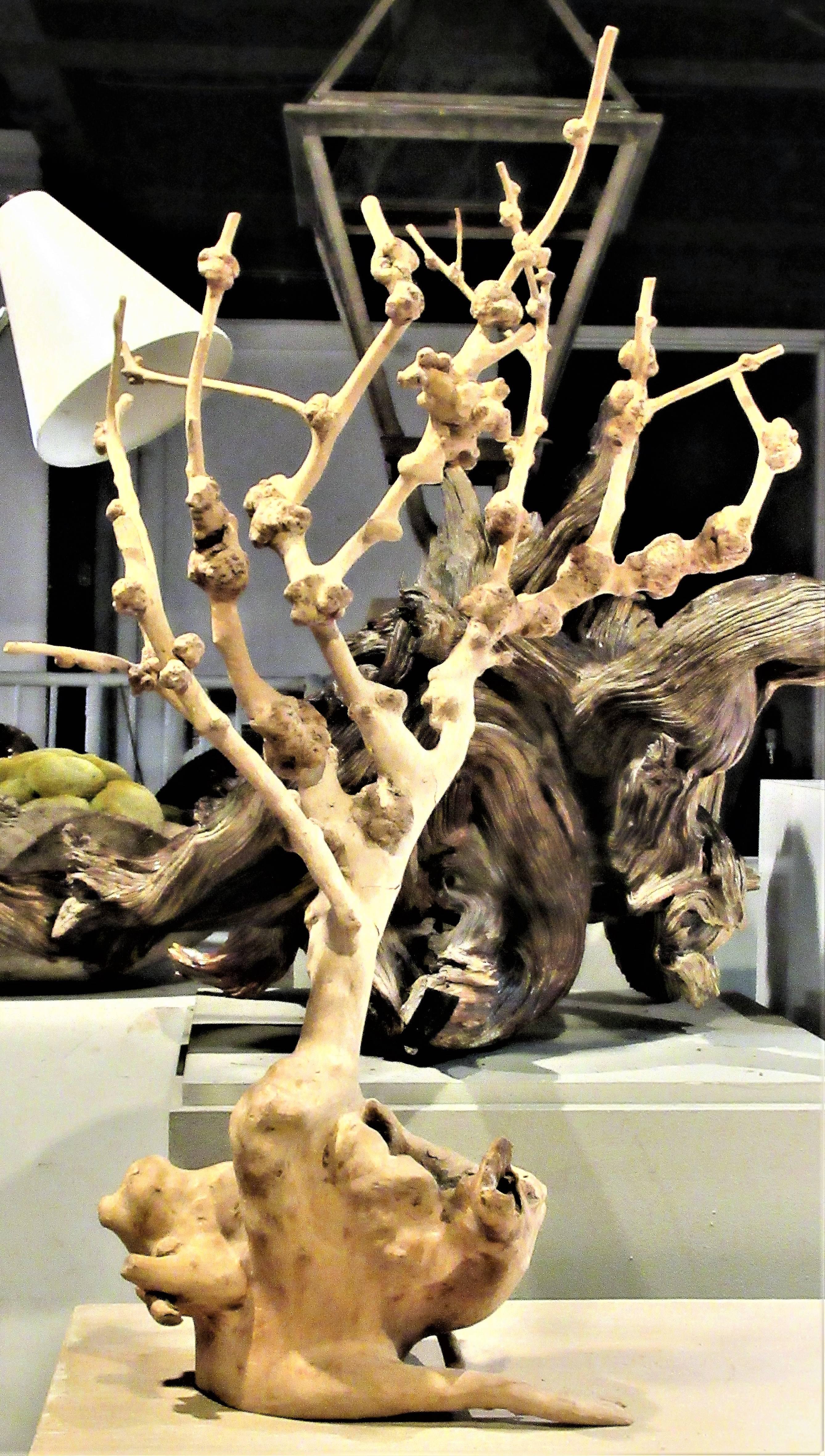 Wood Old Natural Burl Root Tree Form Sculpture