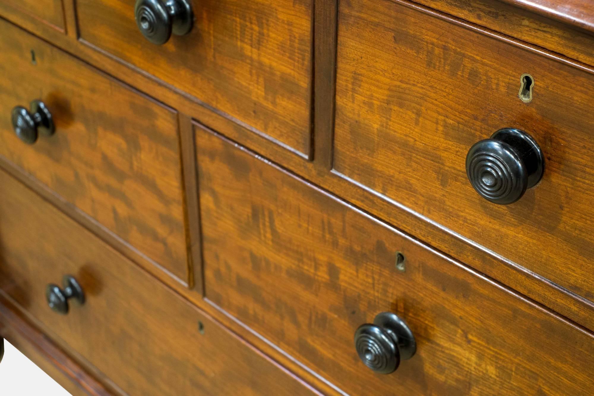 Early 19th Century George IV Mahogany Gentleman's Wardrobe