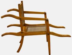 Ash Campaign Sedan Chair