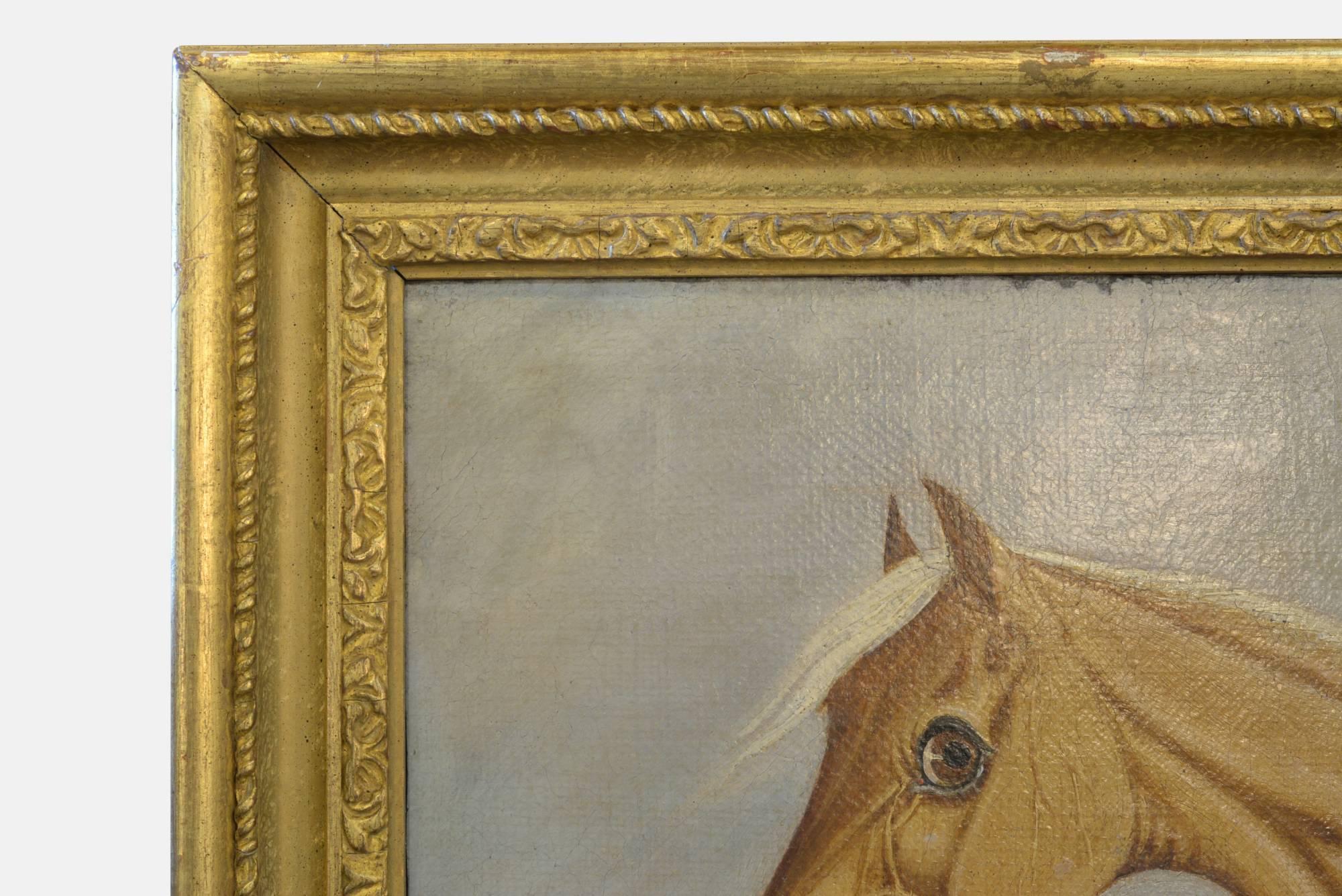 An oil painting on canvas signed 'James Russell Ryott' entitled 'Silvertail'.

In gilt frame, circa 1820.