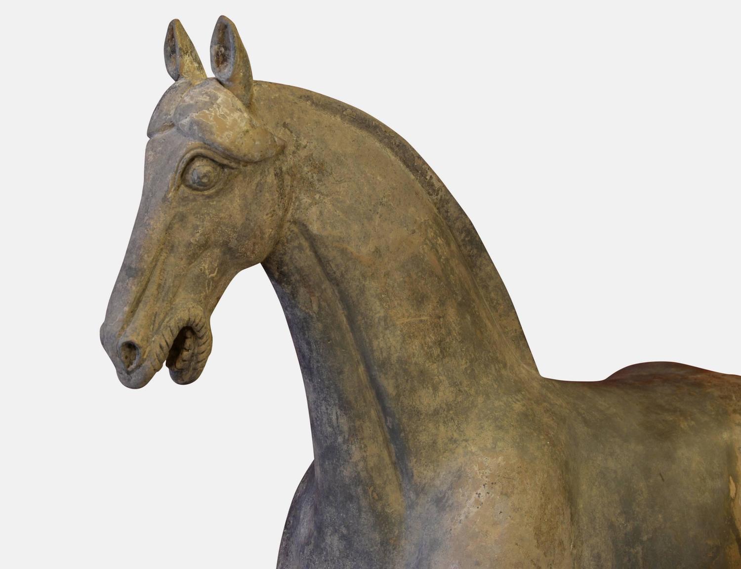 Ancient Chinese Horse Tang Dynasty at 1stdibs